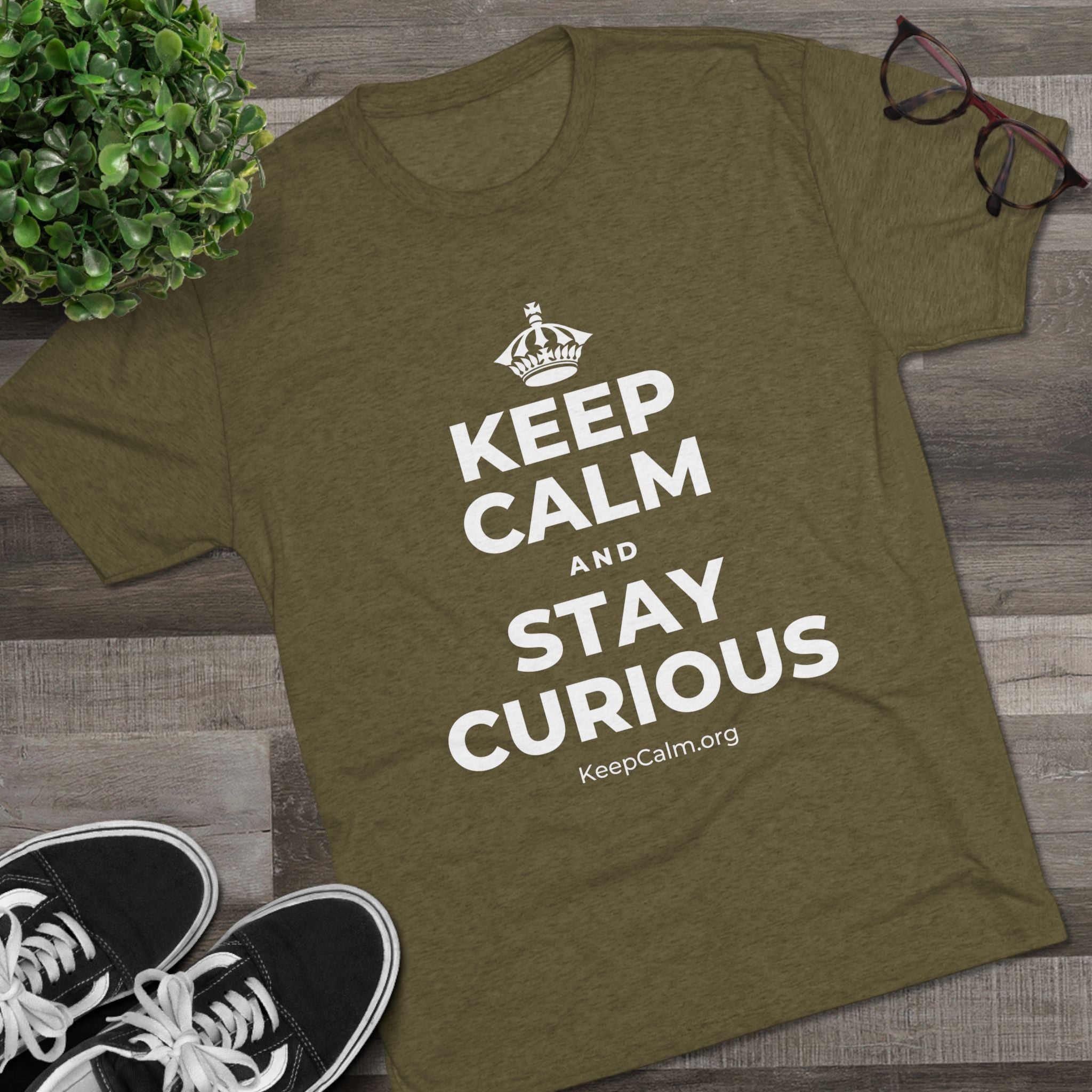 KEEP CALM AND STAY CURIOUS Tri-Blend Tee