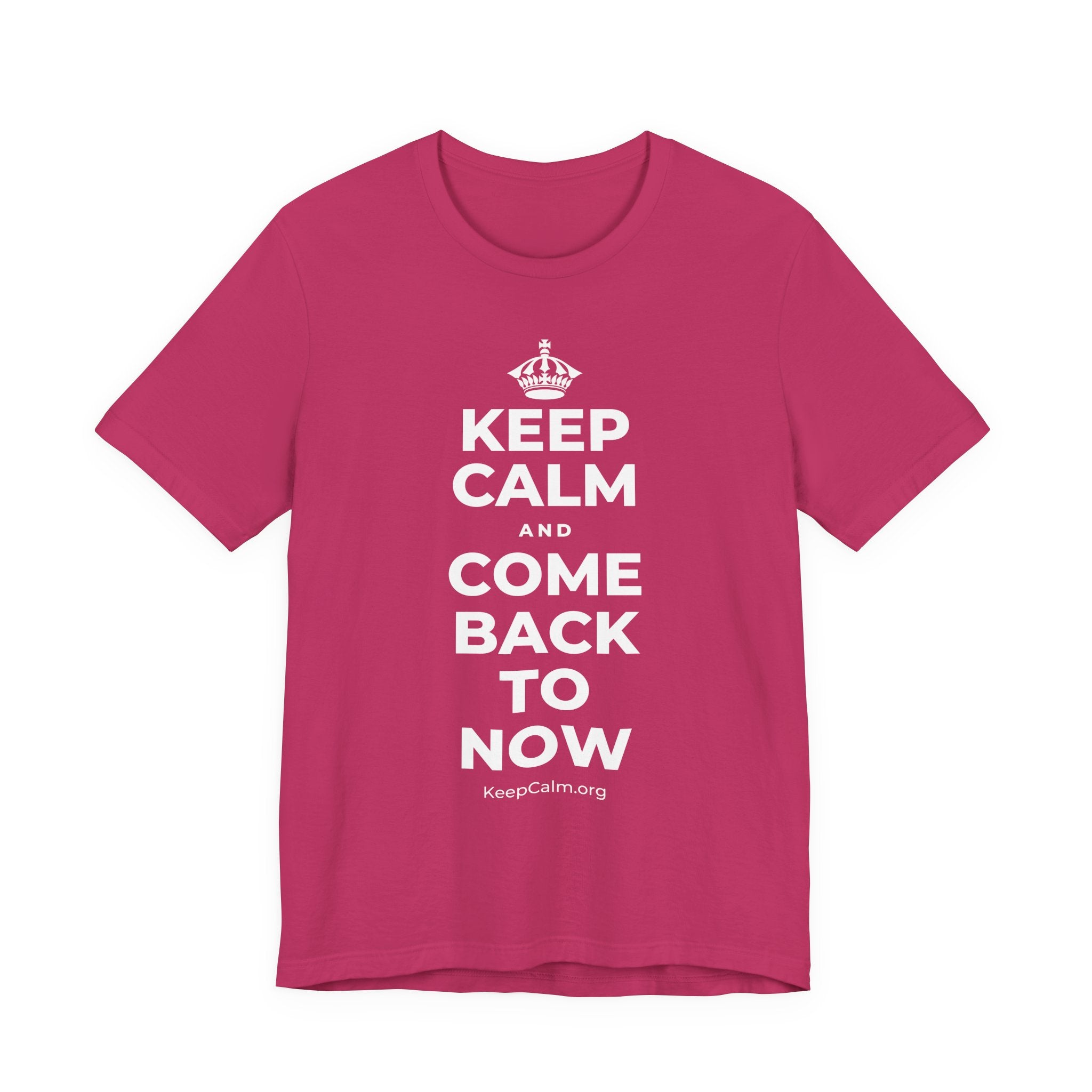 KEEP CALM AND COME BACK TO NOW T-Shirt (Baby Blue–Silver)