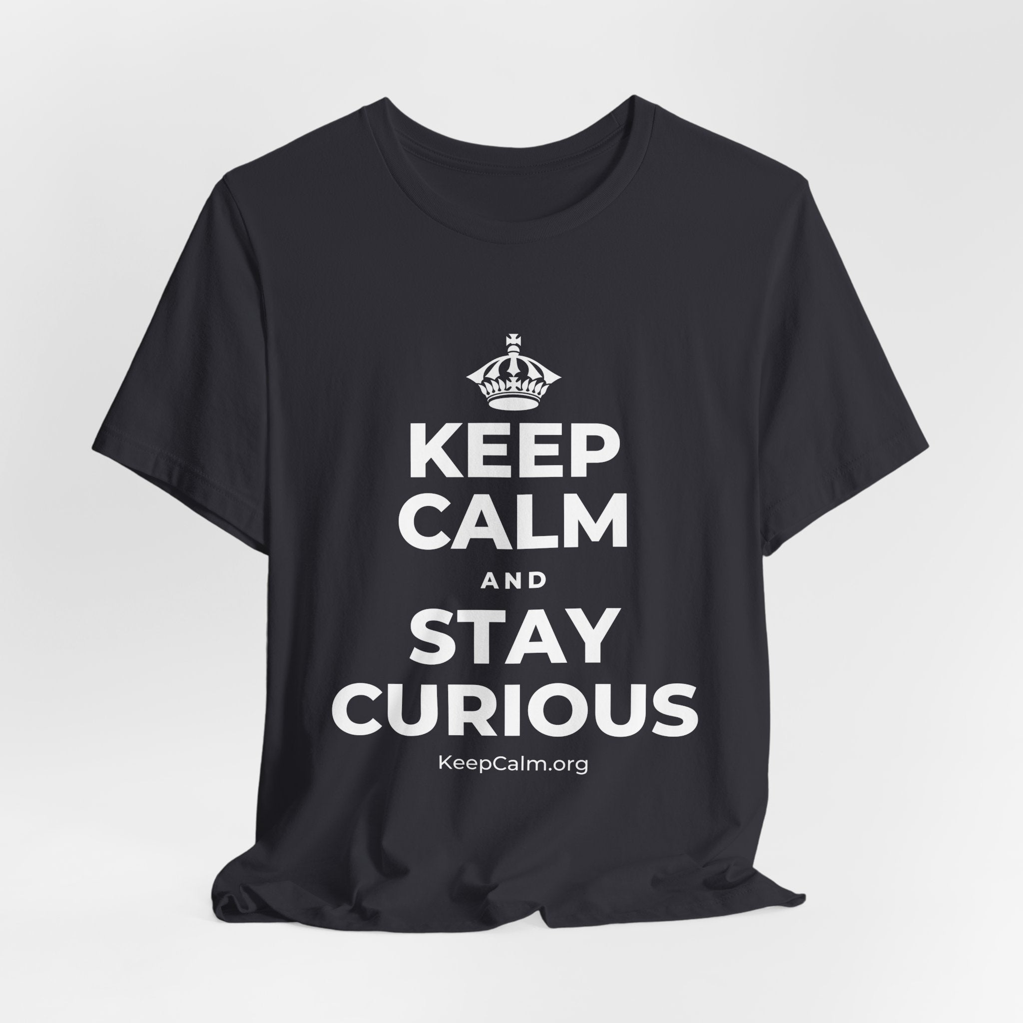 KEEP CALM AND STAY CURIOUS T-Shirt (Baby Blue–Silver)