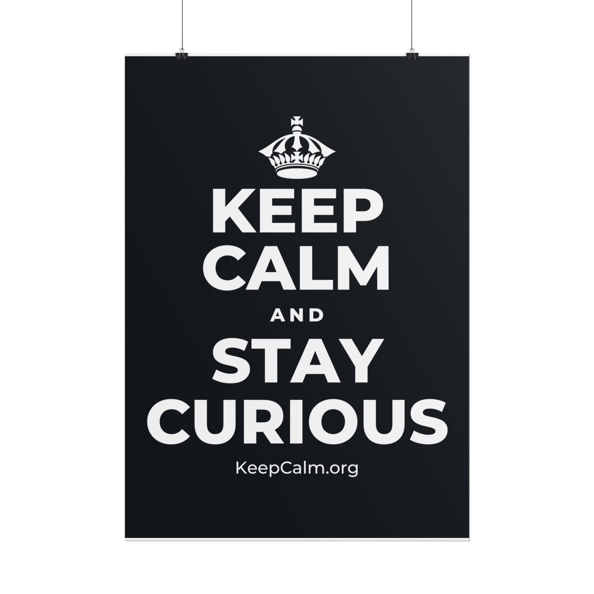 KEEP CALM AND STAY CURIOUS Poster (Dark)