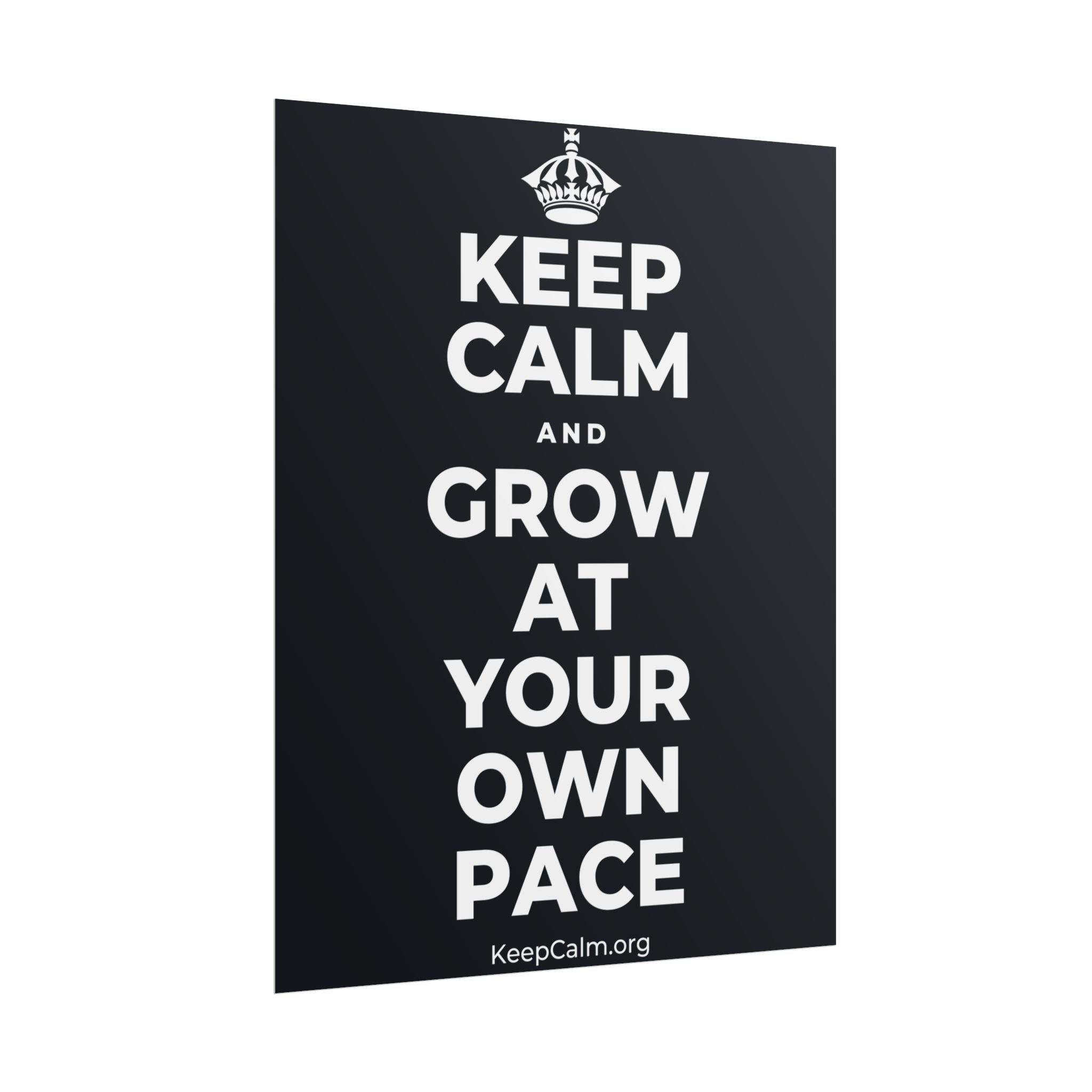 KEEP CALM AND GROW AT YOUR OWN PACE Poster (Dark)