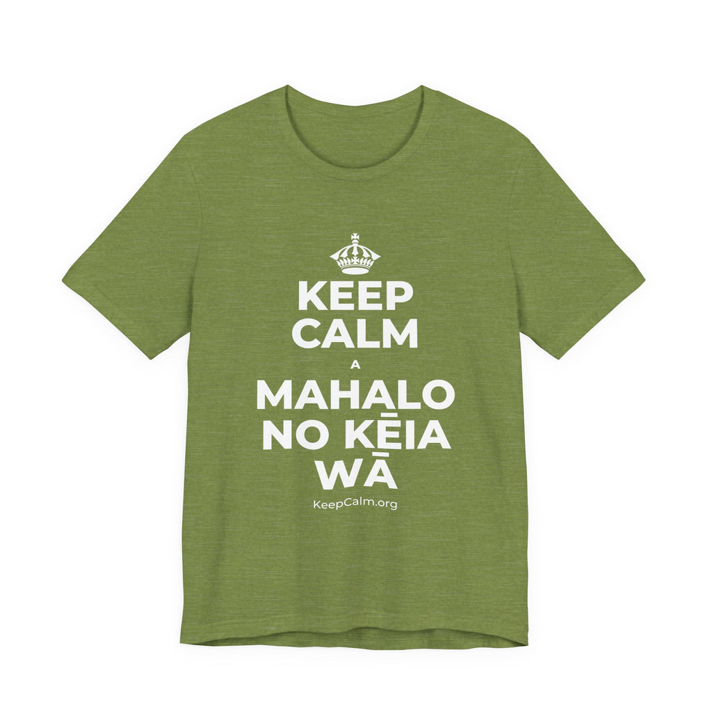 KEEP CALM A MAHALO NO KĒIA WĀ T-Shirt (Baby Blue–Silver)