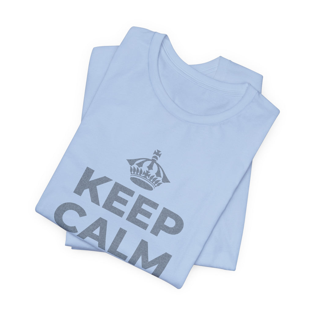 KEEP CALM AND OWN IT T-Shirt (Baby Blue–Silver)