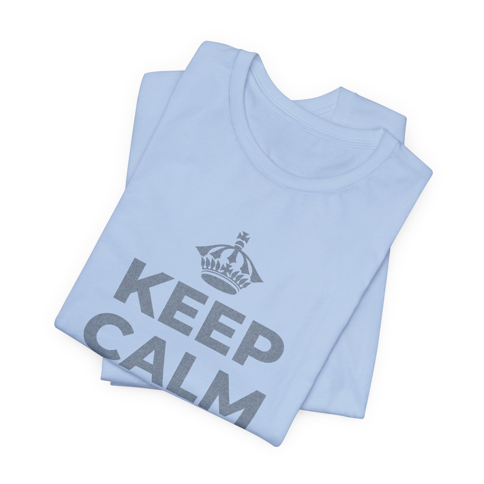 KEEP CALM AND OWN IT T-Shirt (Baby Blue–Silver)