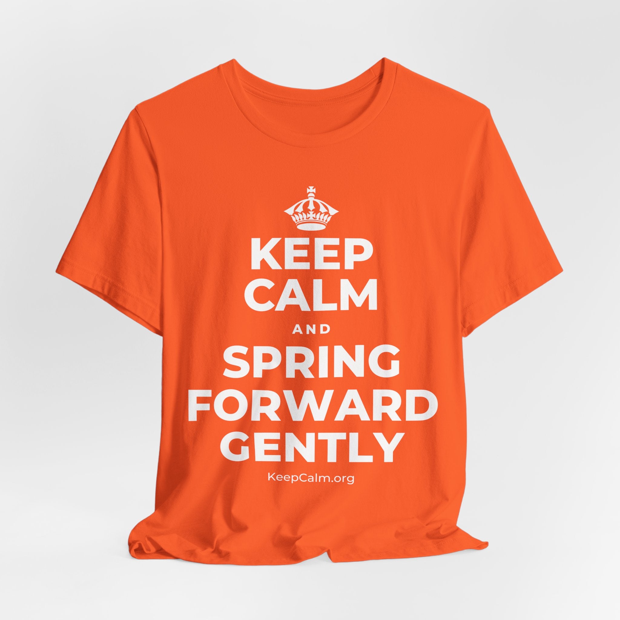 KEEP CALM AND SPRING FORWARD GENTLY T-Shirt (Baby Blue–Silver)