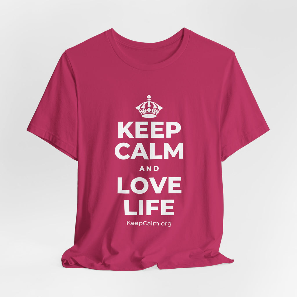 KEEP CALM AND LOVE LIFE T-Shirt (Baby Blue–Silver)