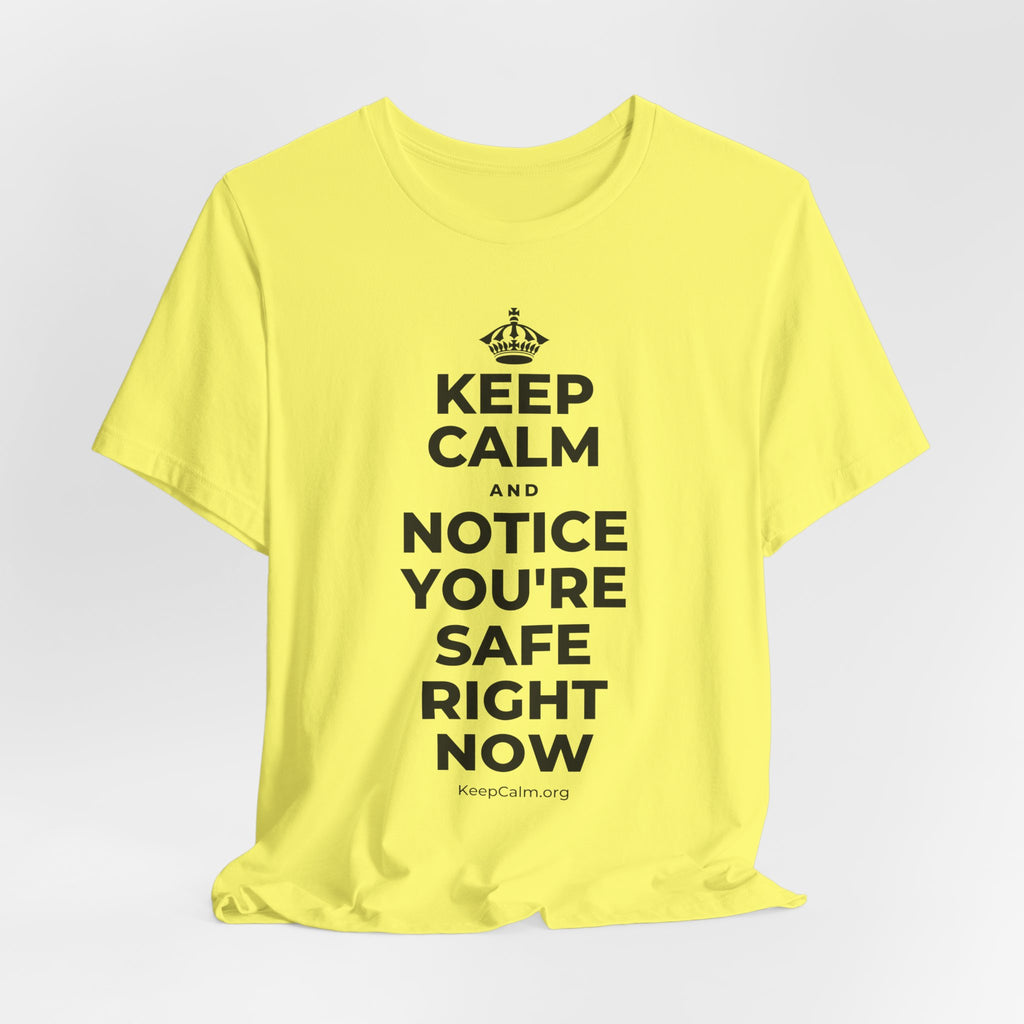 KEEP CALM AND NOTICE YOU'RE SAFE RIGHT NOW T-Shirt (Soft Cream–Heather Mauve)