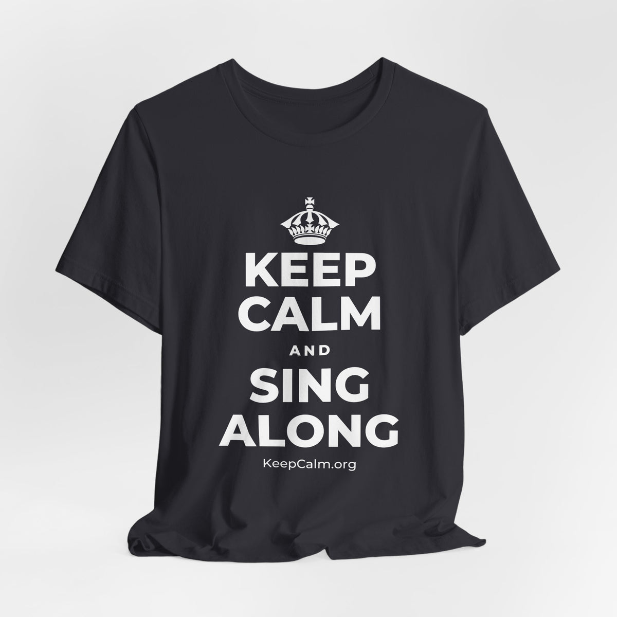 KEEP CALM AND SING ALONG T-Shirt (Baby Blue–Silver)