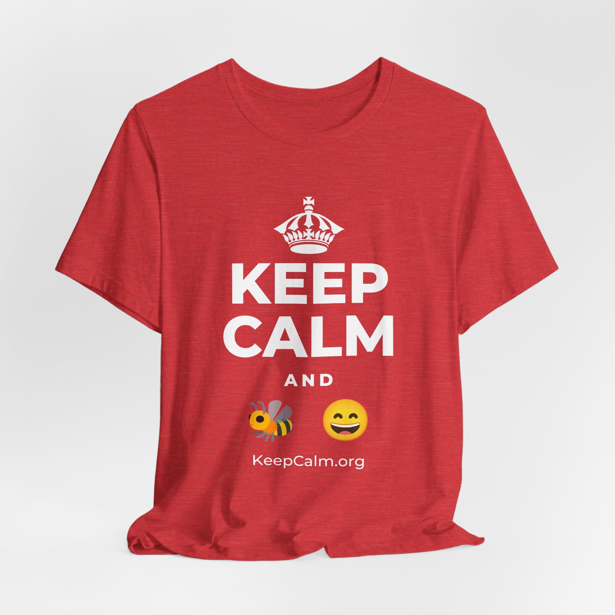 KEEP CALM AND 🐝 😄 T-Shirt (Baby Blue–Silver)