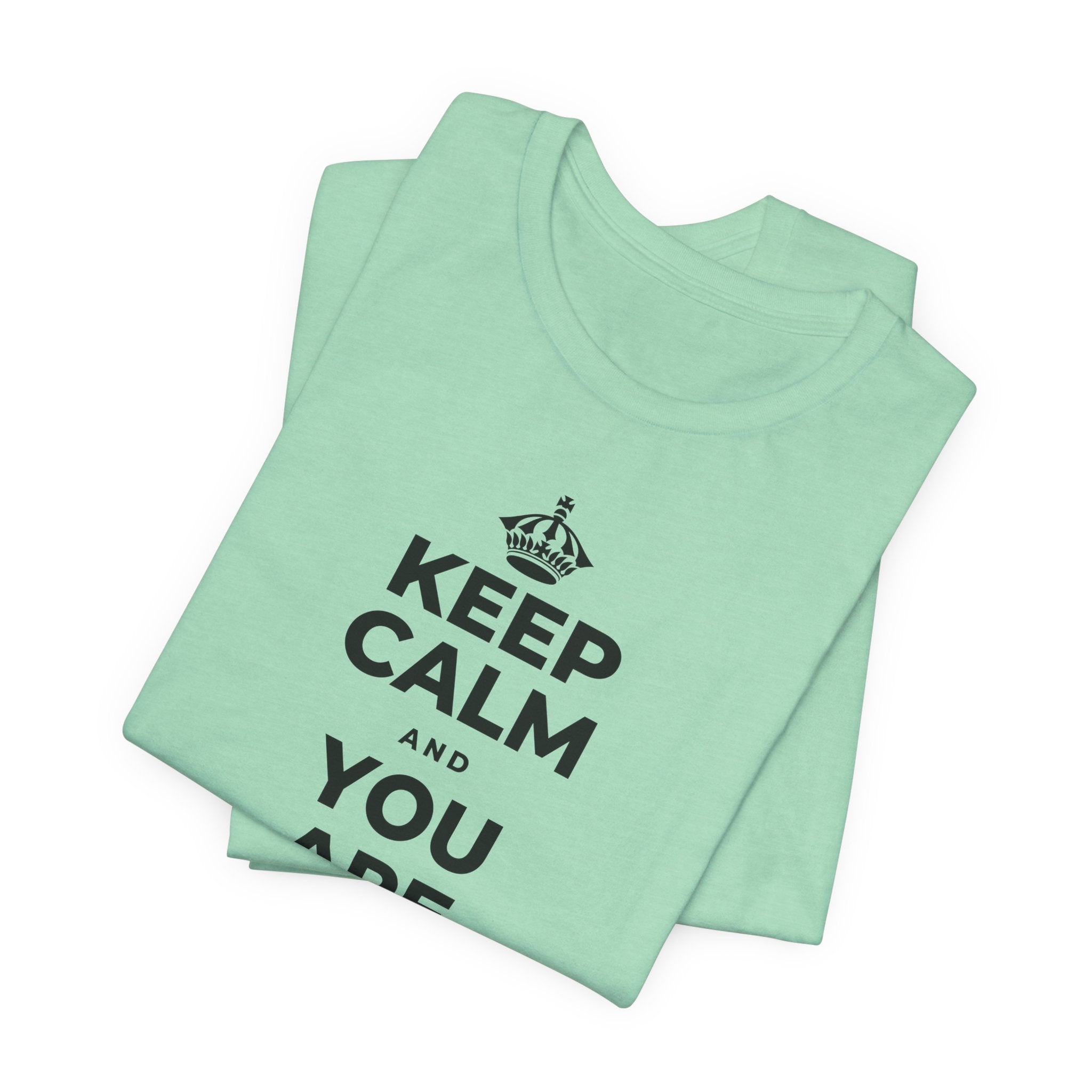 KEEP CALM AND YOU ARE DOING GREAT TODAY T-Shirt (Baby Blue–Silver)