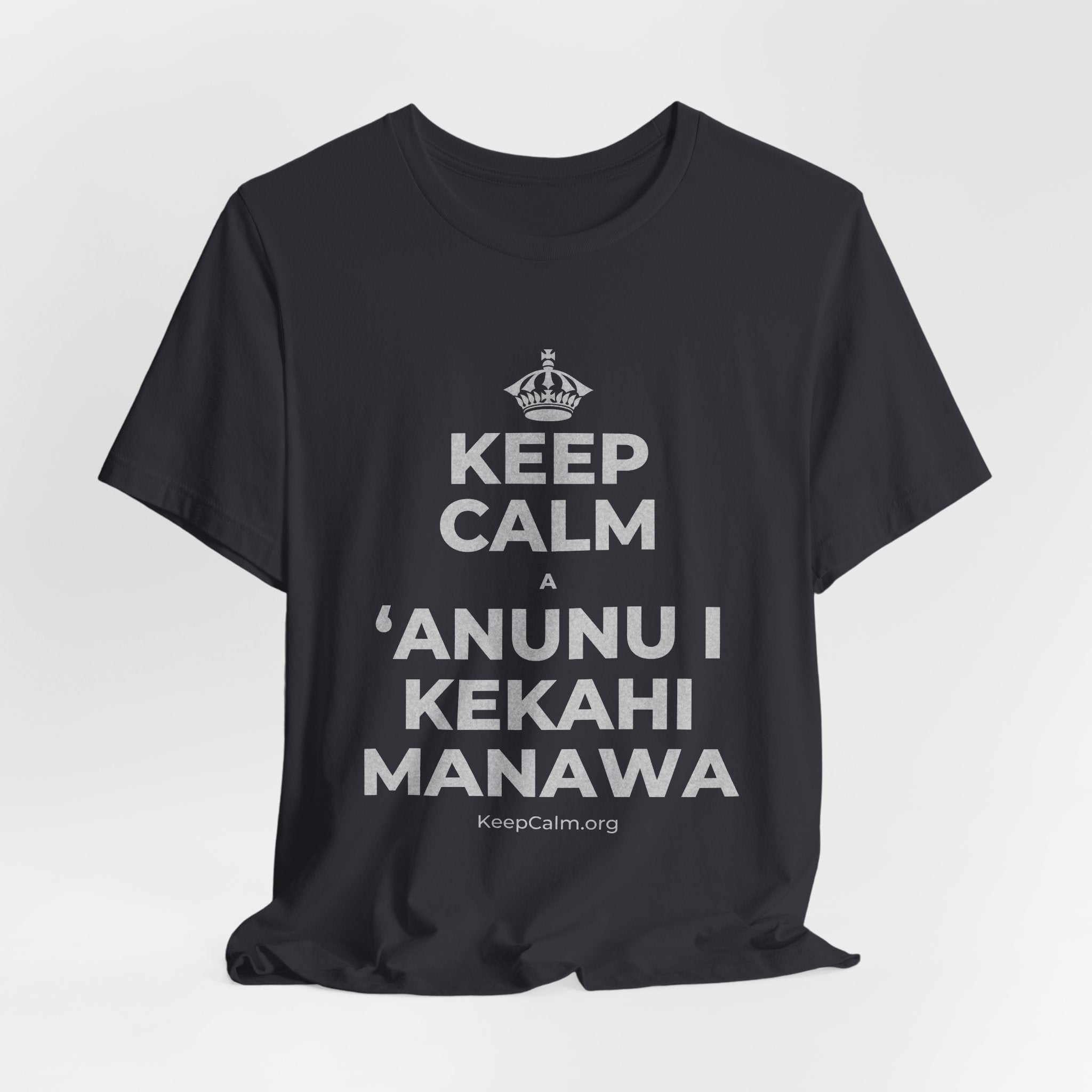 KEEP CALM A ʻANUNU I KEKAHI MANAWA T-Shirt (Baby Blue–Silver)