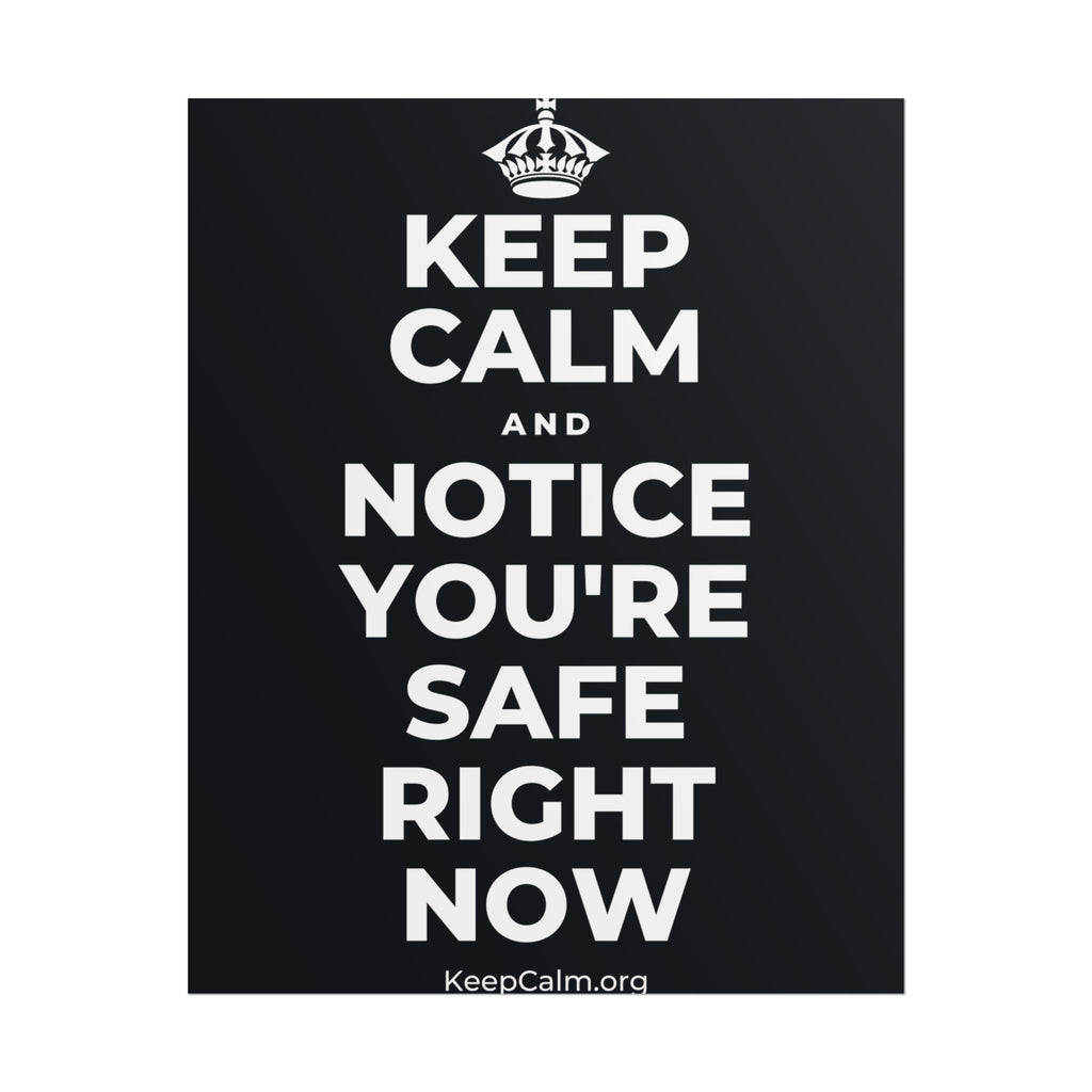 KEEP CALM AND NOTICE YOU'RE SAFE RIGHT NOW Poster (Dark)