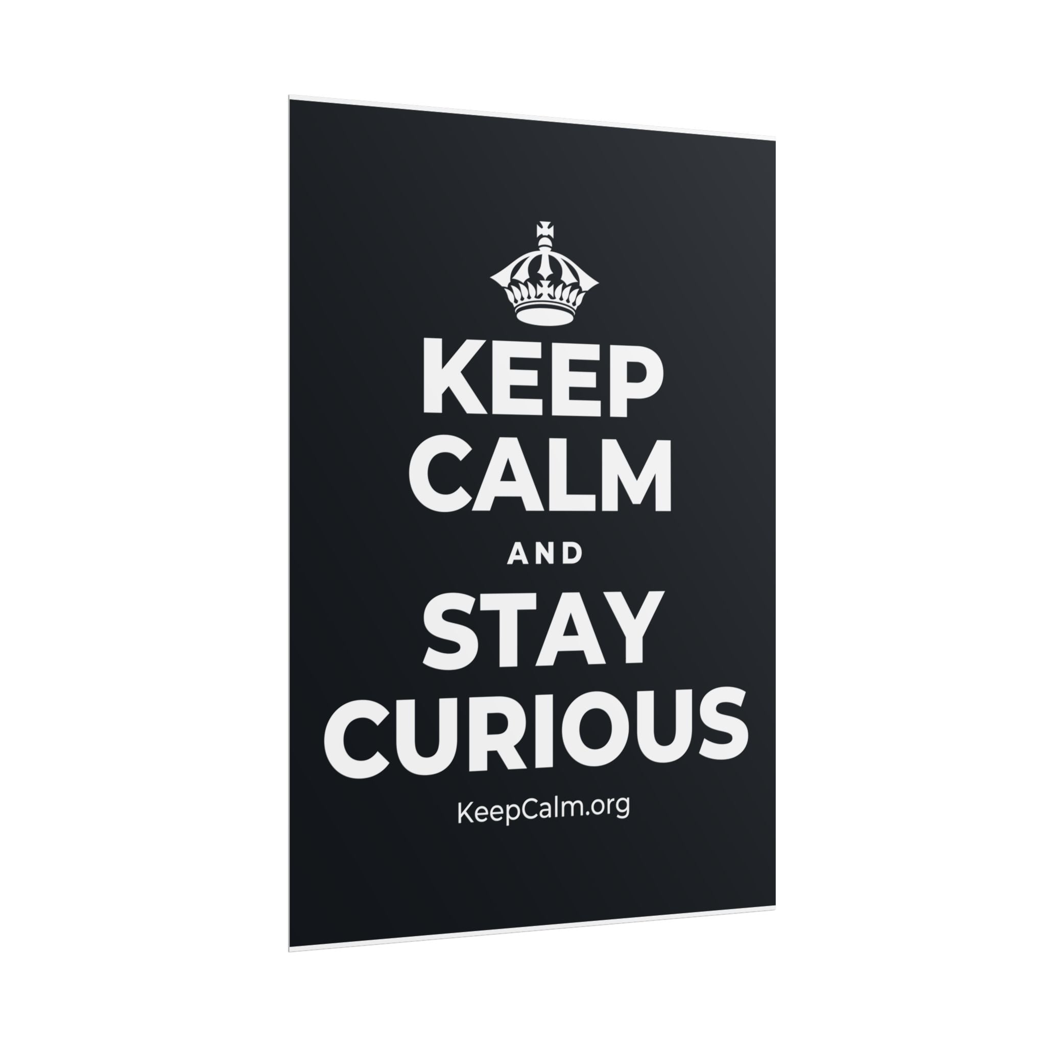 KEEP CALM AND STAY CURIOUS Poster (Dark)