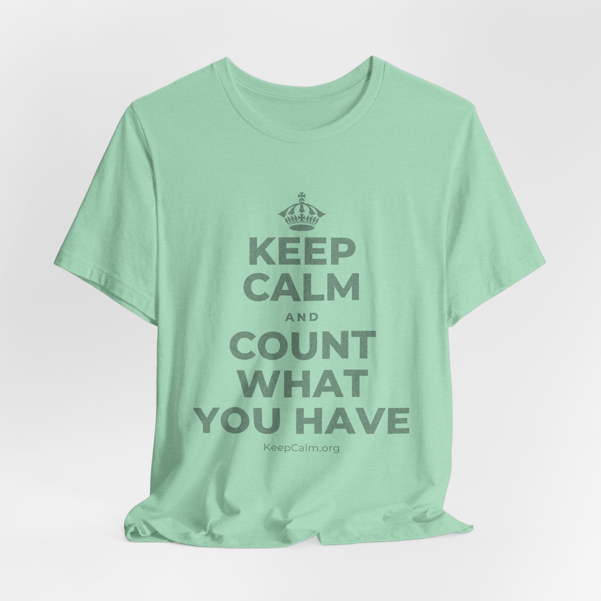 KEEP CALM AND COUNT WHAT YOU HAVE T-Shirt (Baby Blue–Silver)