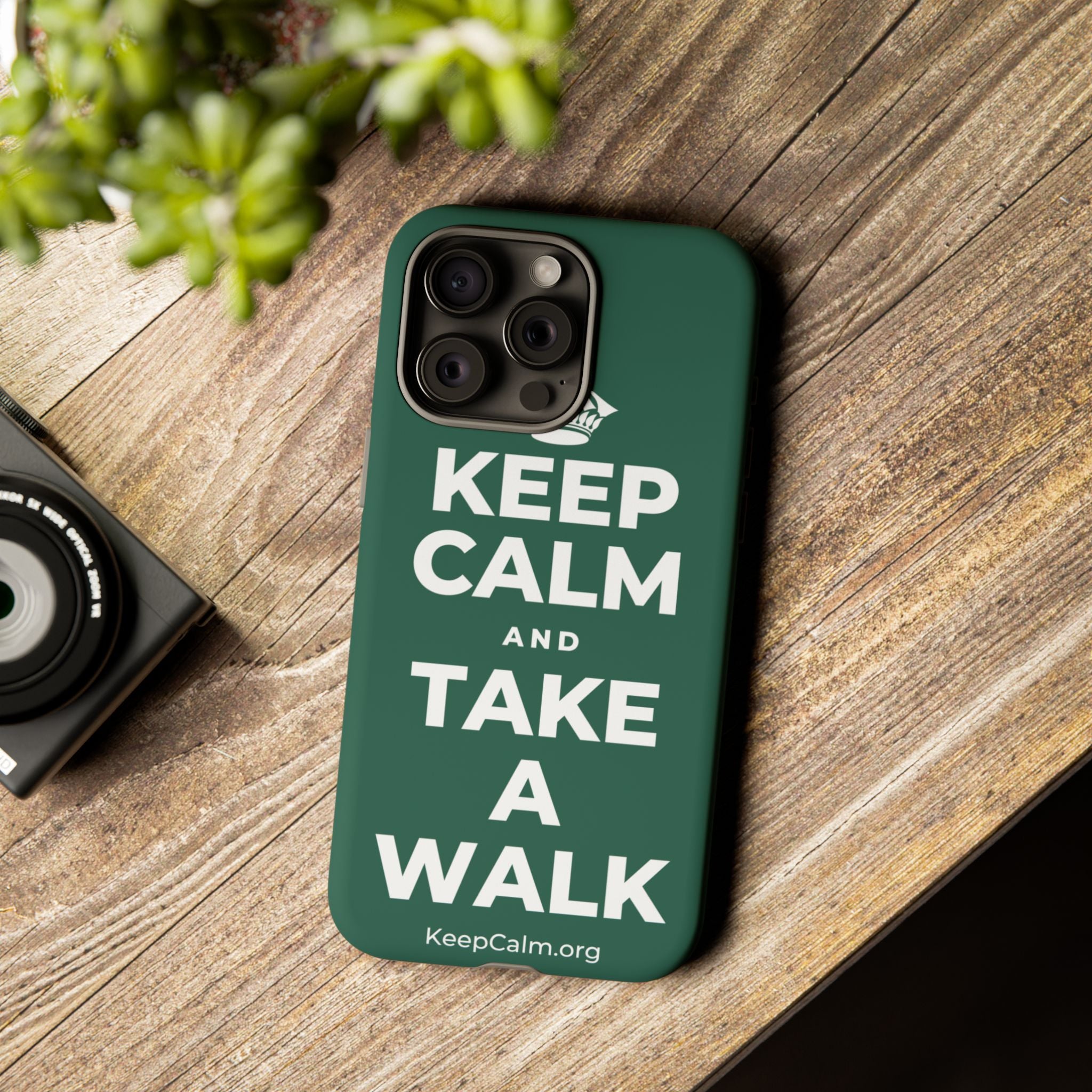 KEEP CALM AND TAKE A WALK Phone Case