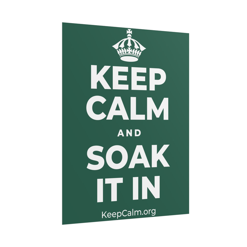 KEEP CALM AND SOAK IT IN Poster