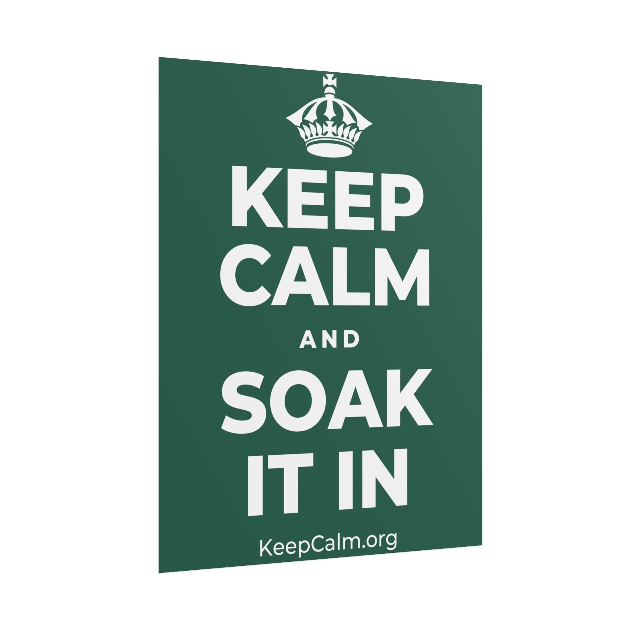 KEEP CALM AND SOAK IT IN Poster