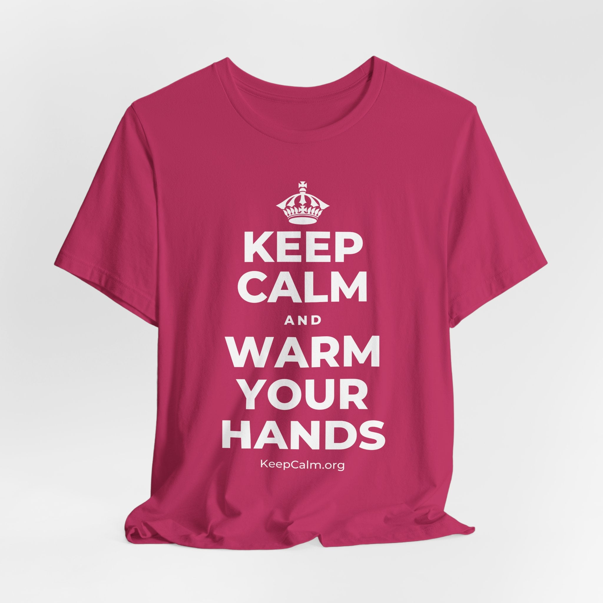 KEEP CALM AND WARM YOUR HANDS T-Shirt (Baby Blue–Silver)