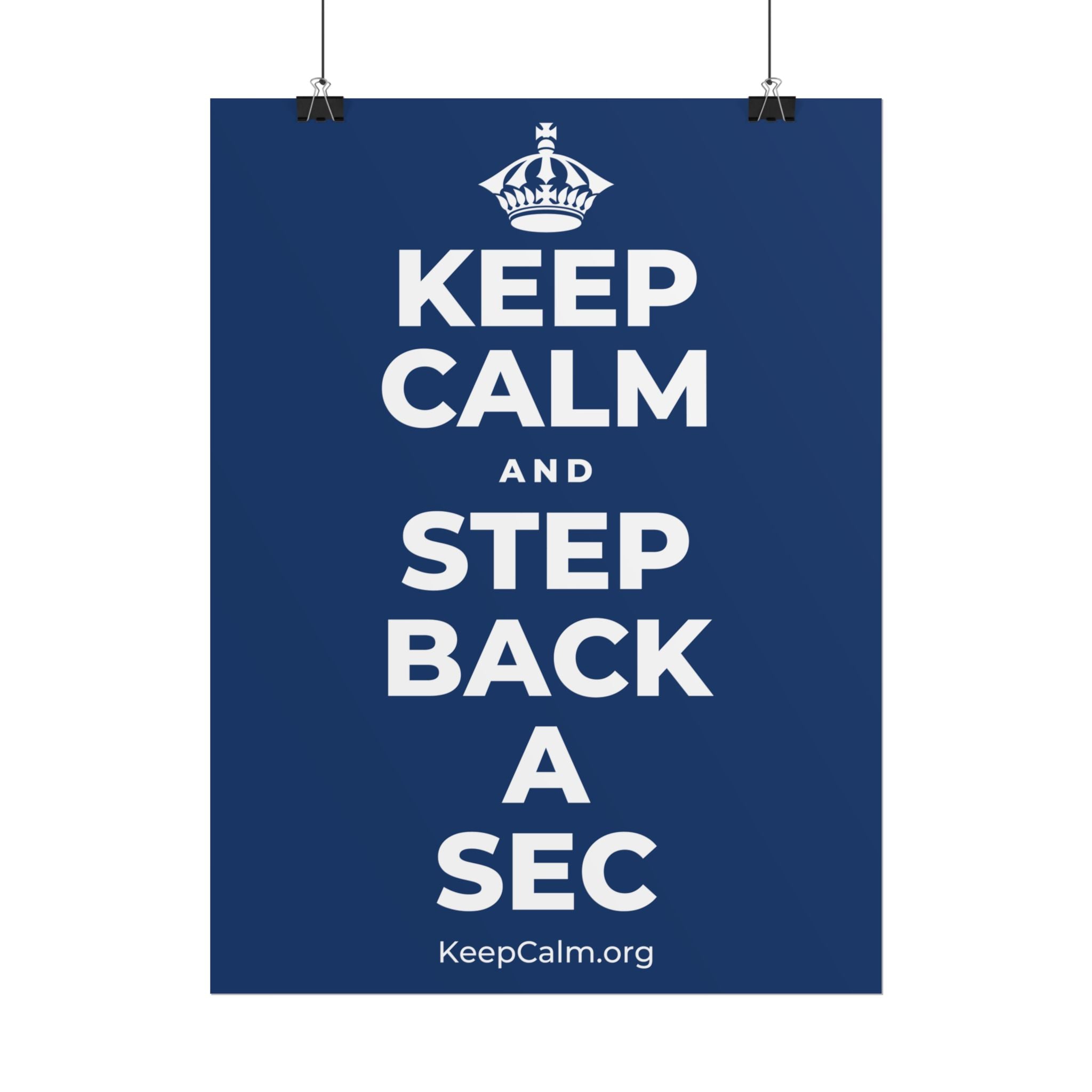 KEEP CALM AND STEP BACK A SEC Poster