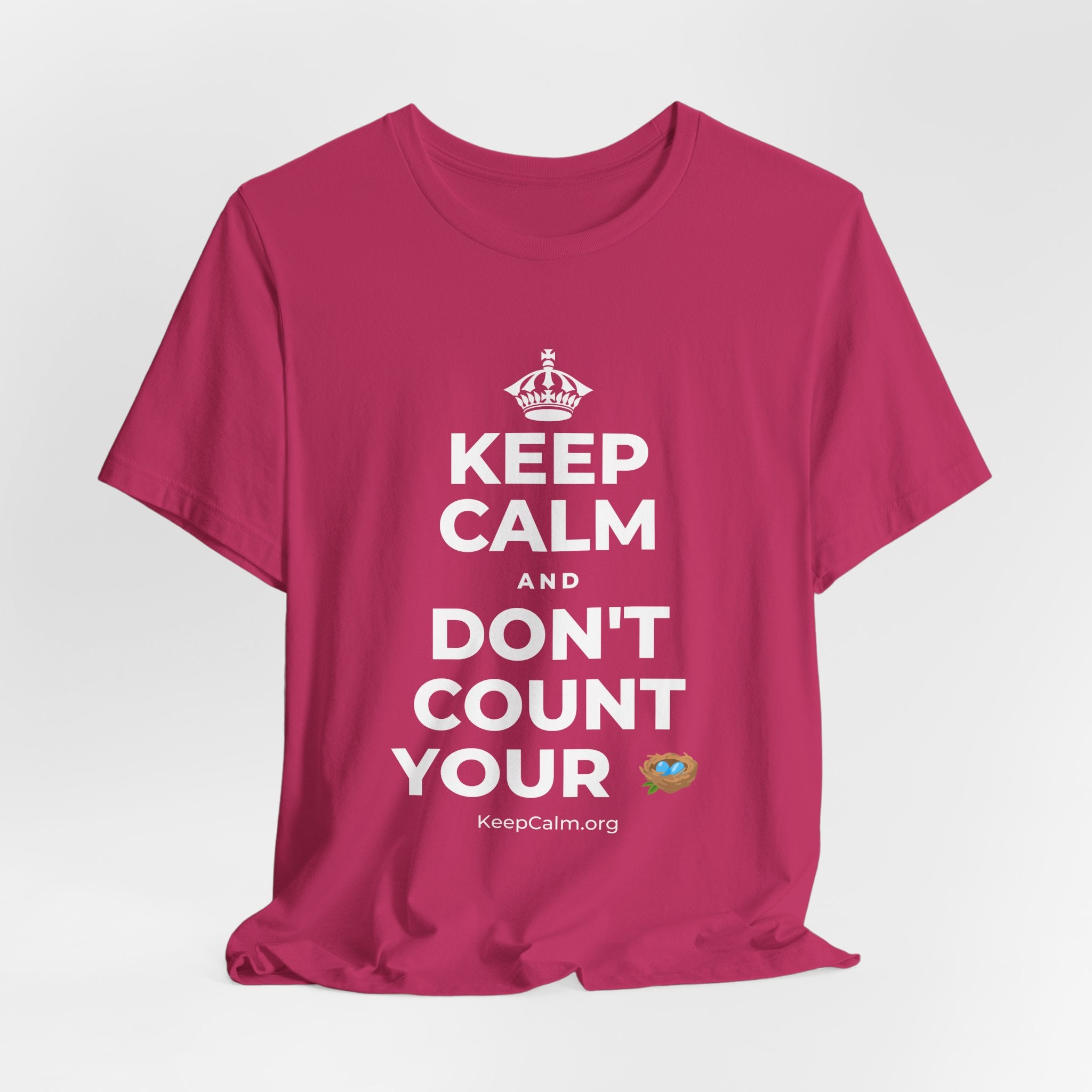 KEEP CALM AND DON'T COUNT YOUR 🪺 T-Shirt (Baby Blue–Silver)