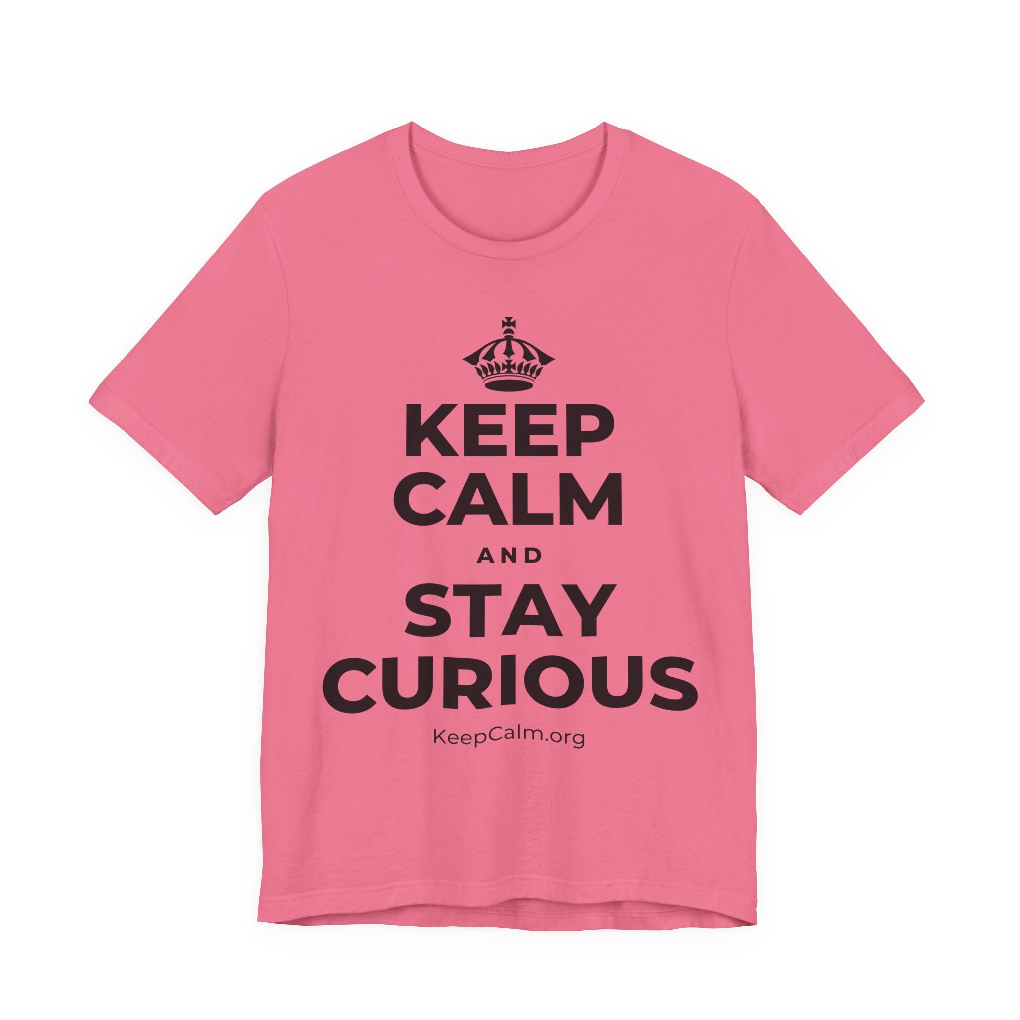 KEEP CALM AND STAY CURIOUS T-Shirt (Military Green–Autumn)