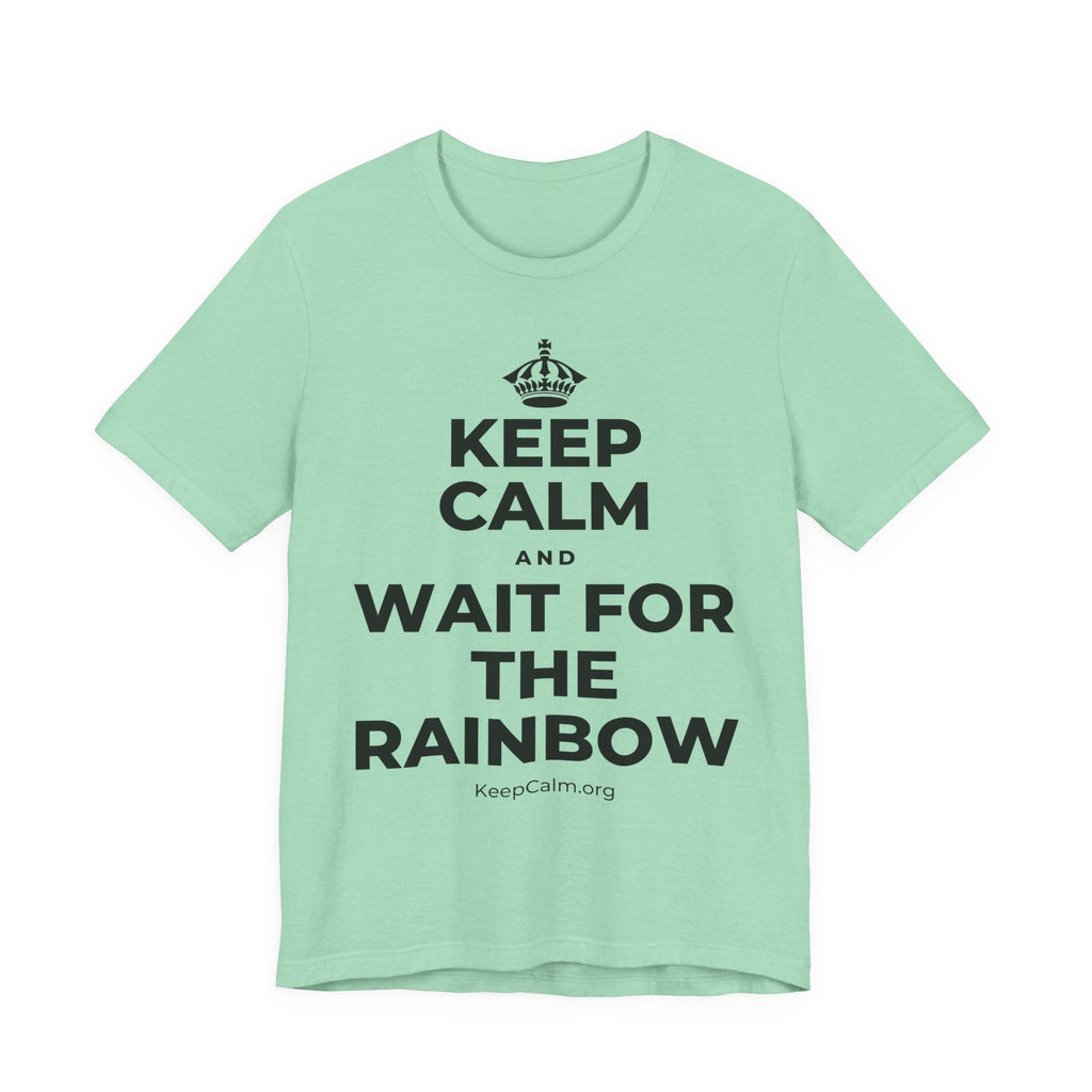 KEEP CALM AND WAIT FOR THE RAINBOW T-Shirt (Baby Blue–Silver)