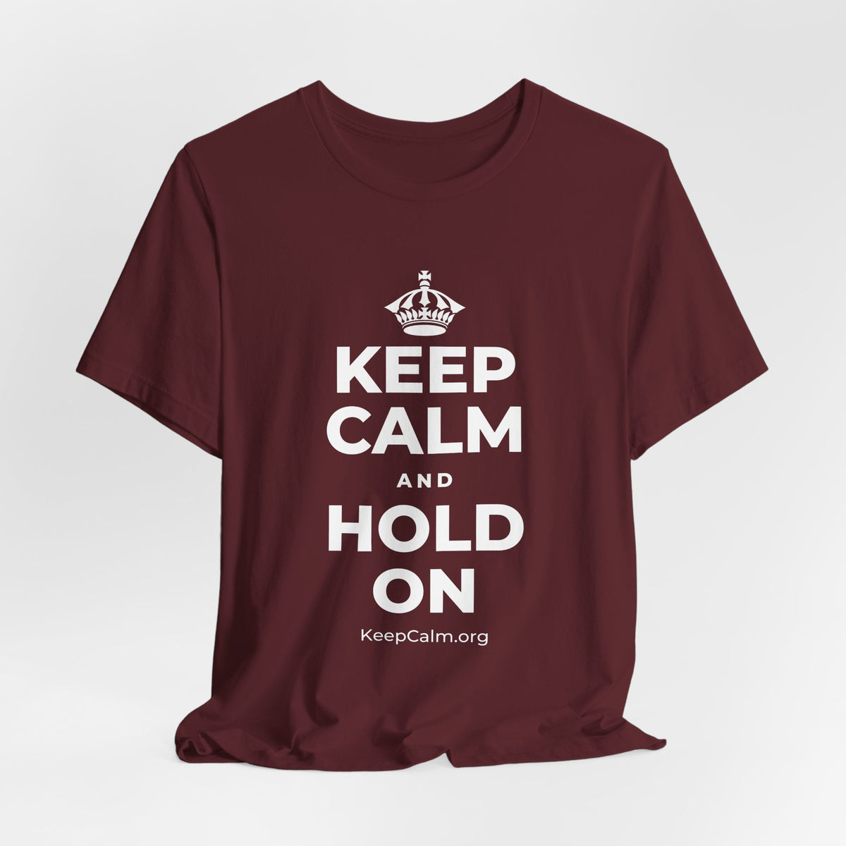KEEP CALM AND HOLD ON T-Shirt (Baby Blue–Silver)