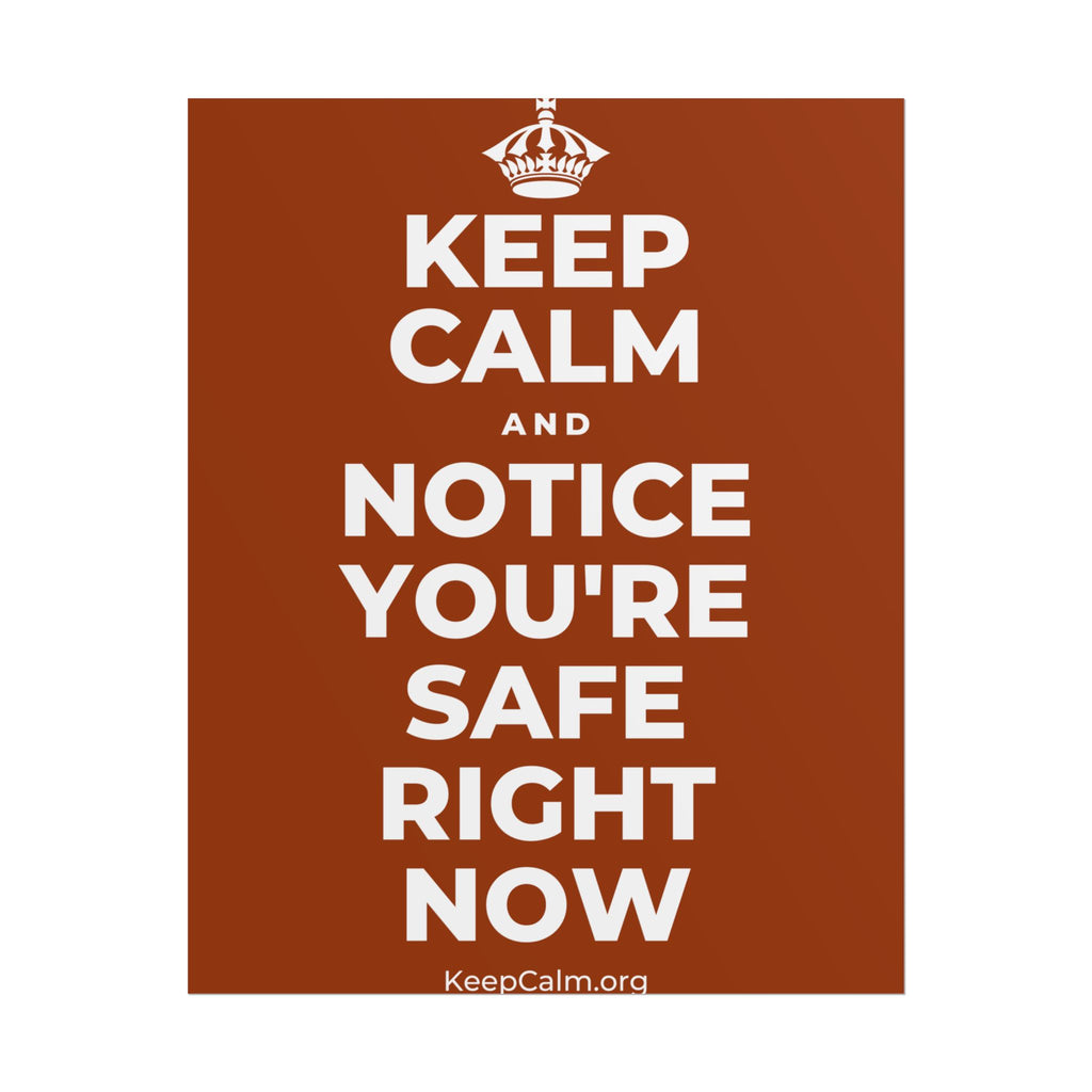 KEEP CALM AND NOTICE YOU'RE SAFE RIGHT NOW Poster