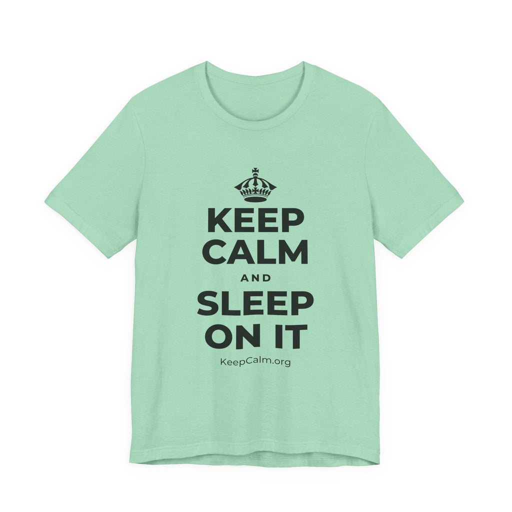KEEP CALM AND SLEEP ON IT T-Shirt (Baby Blue–Silver)