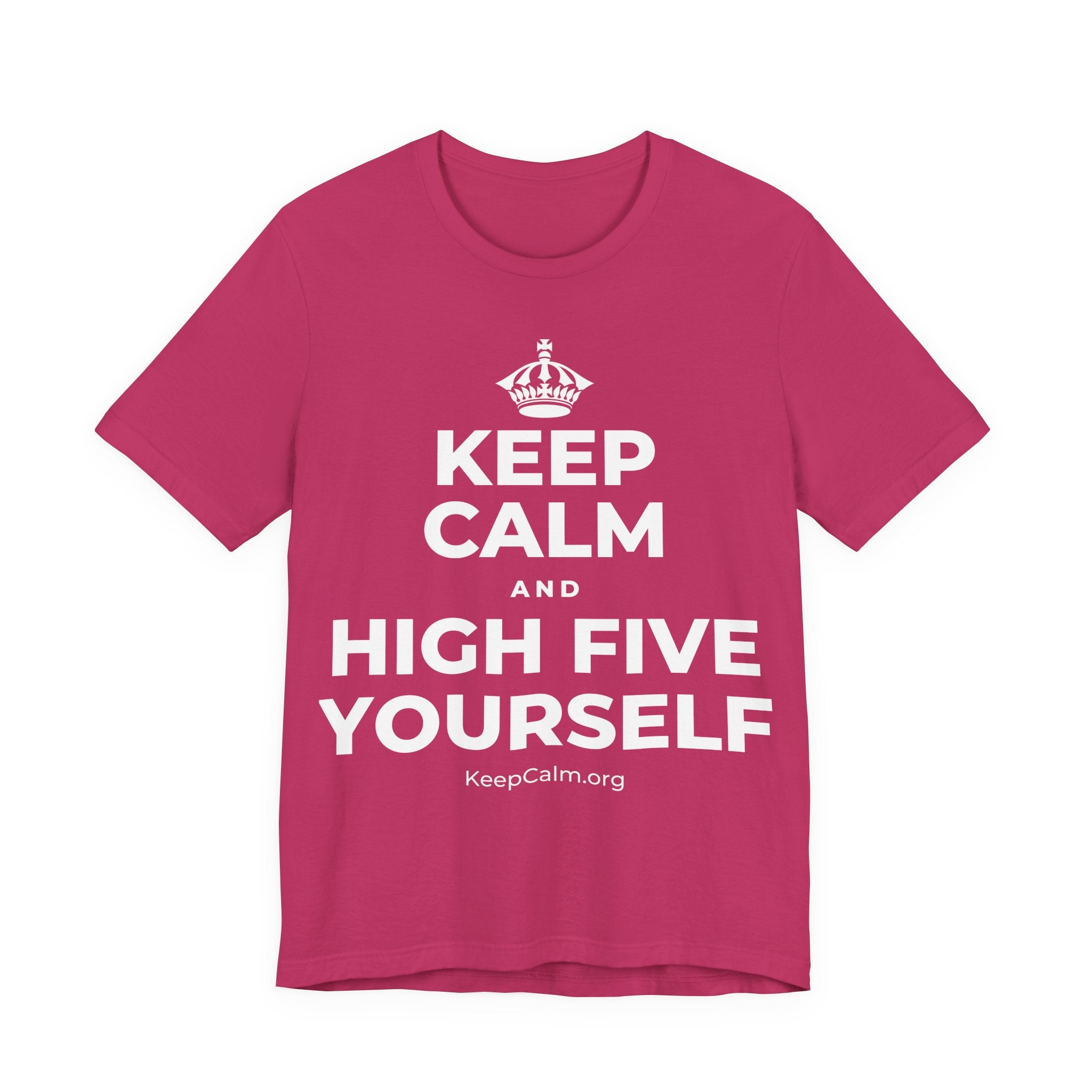 KEEP CALM AND HIGH FIVE YOURSELF T-Shirt (Baby Blue–Silver)