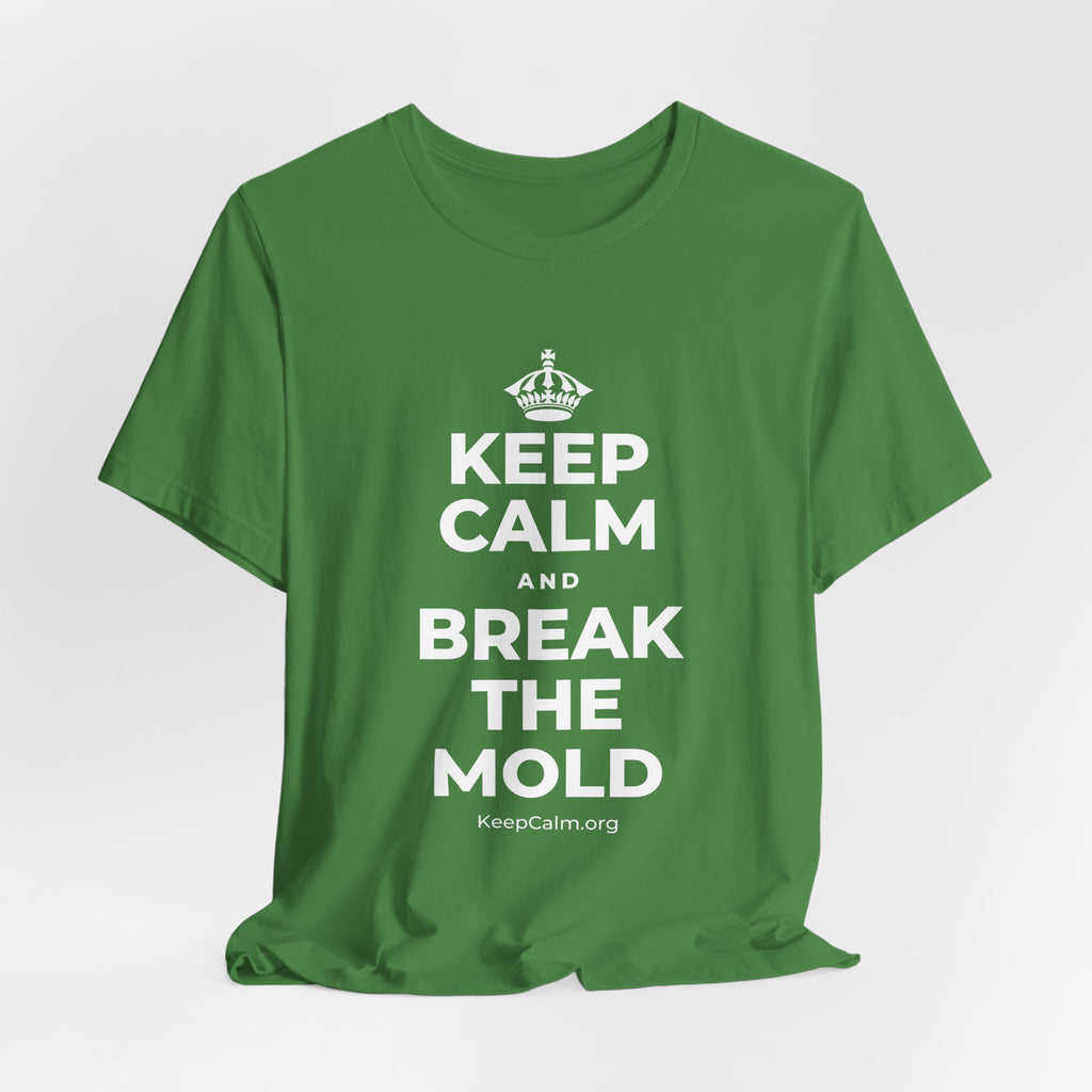 KEEP CALM AND BREAK THE MOLD T-Shirt (Baby Blue–Silver)