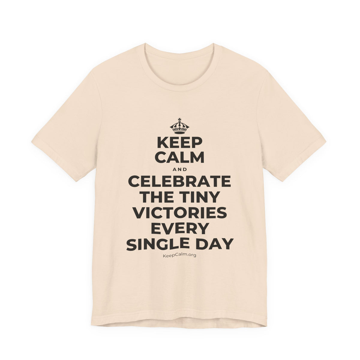 KEEP CALM AND CELEBRATE THE TINY VICTORIES EVERY SINGLE DAY T-Shirt (Soft Cream–Heather Mauve)