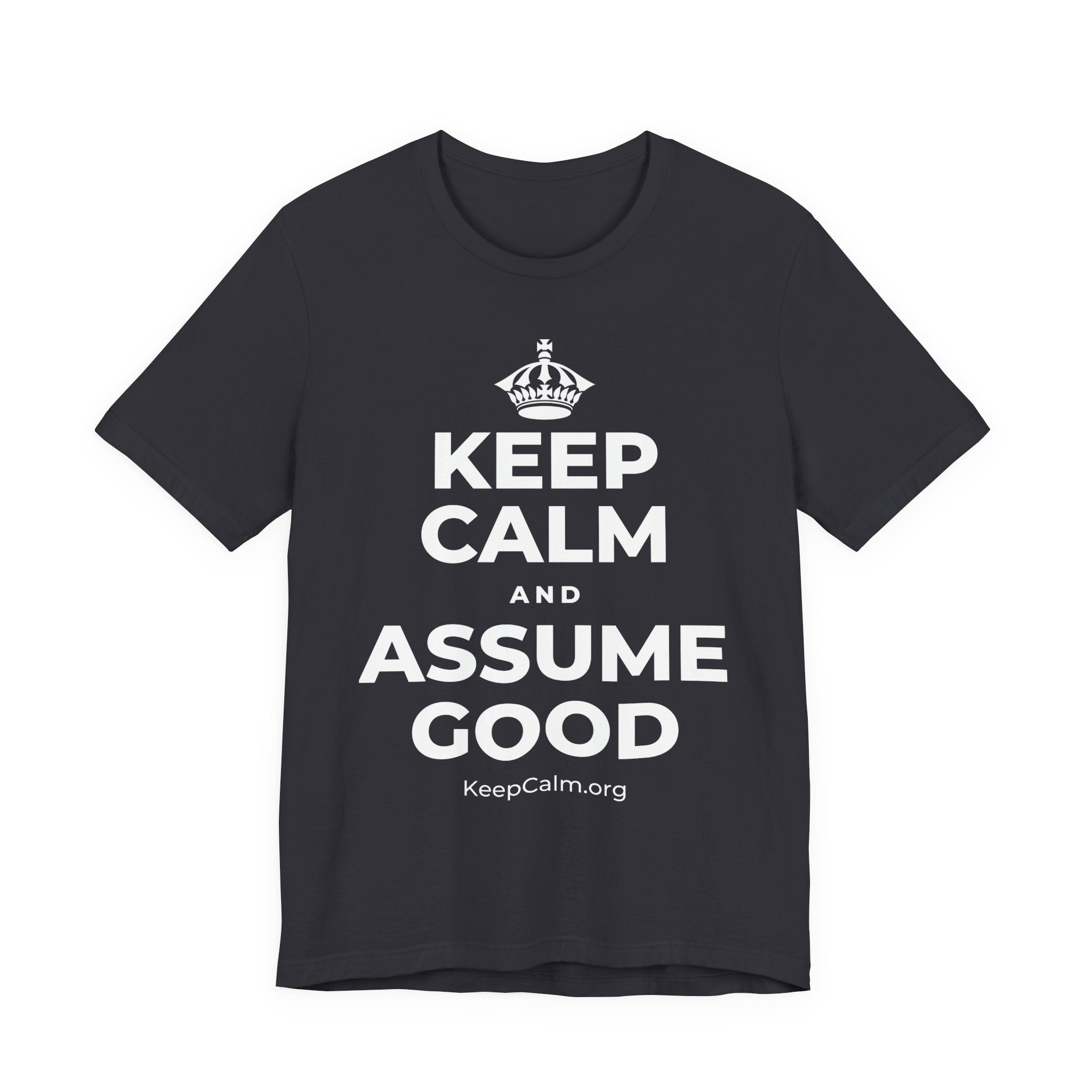 KEEP CALM AND ASSUME GOOD T-Shirt (Baby Blue–Silver)