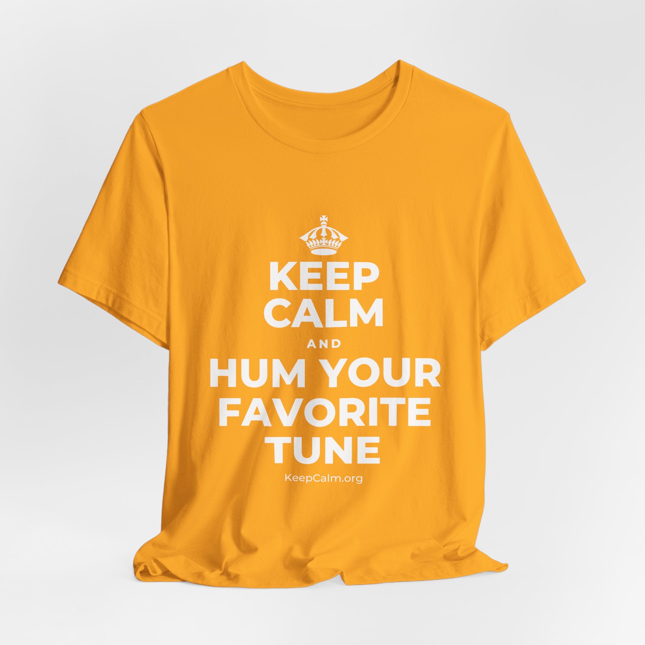 KEEP CALM AND HUM YOUR FAVORITE TUNE T-Shirt (Baby Blue–Silver)