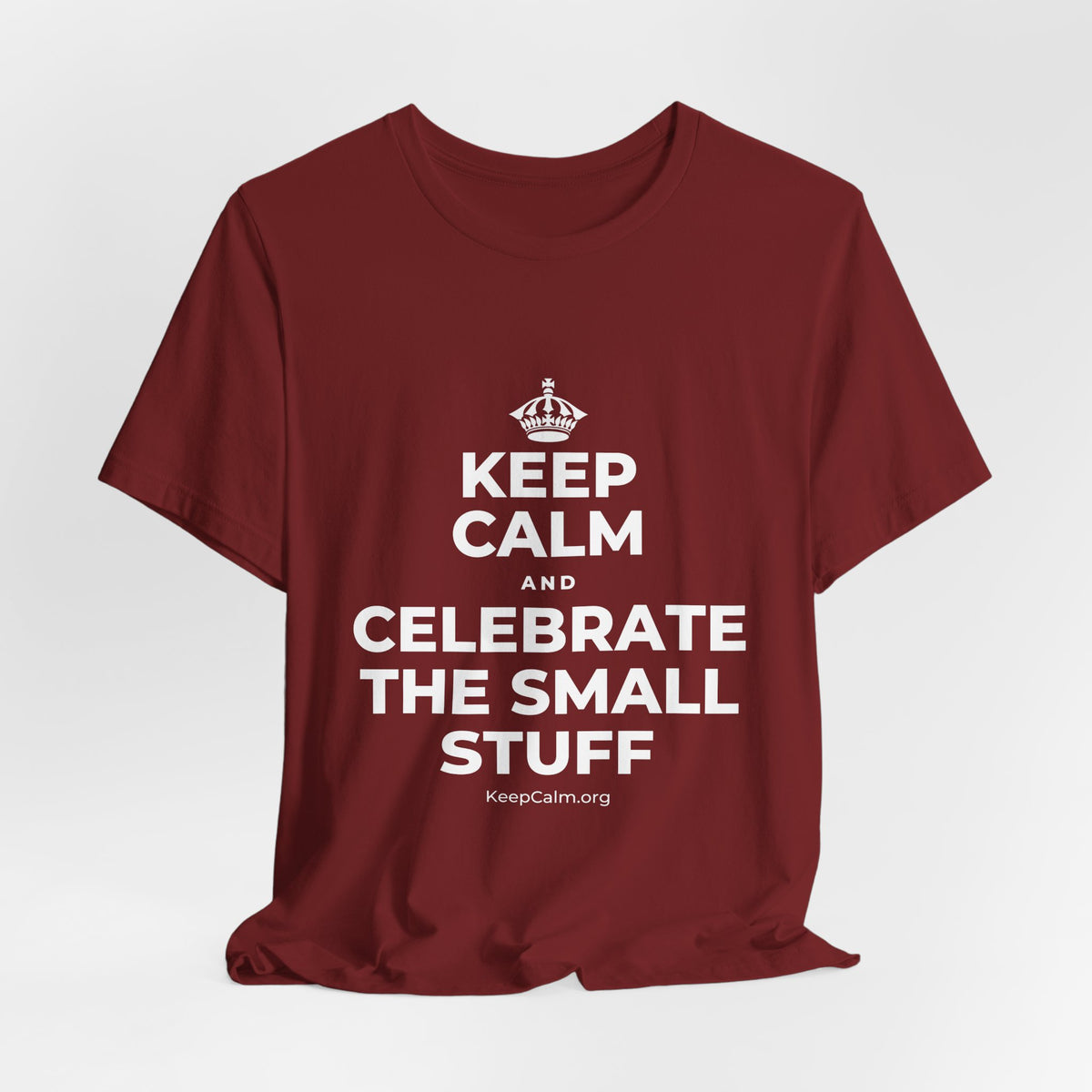 KEEP CALM AND CELEBRATE THE SMALL STUFF T-Shirt (Baby Blue–Silver)