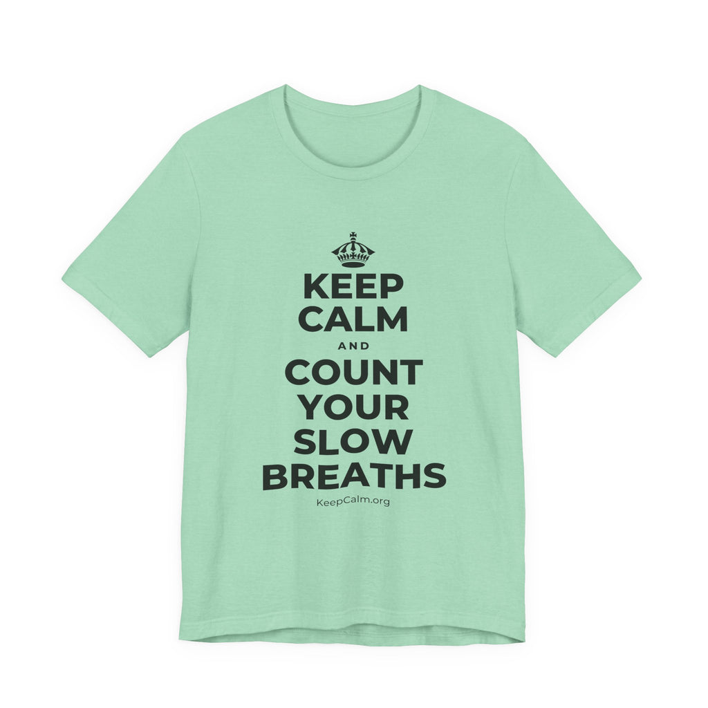 KEEP CALM AND COUNT YOUR SLOW BREATHS T-Shirt (Baby Blue–Silver)
