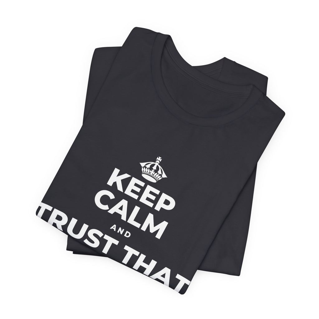 KEEP CALM AND TRUST THAT YOU'RE DOING YOUR BEST T-Shirt (Baby Blue–Silver)