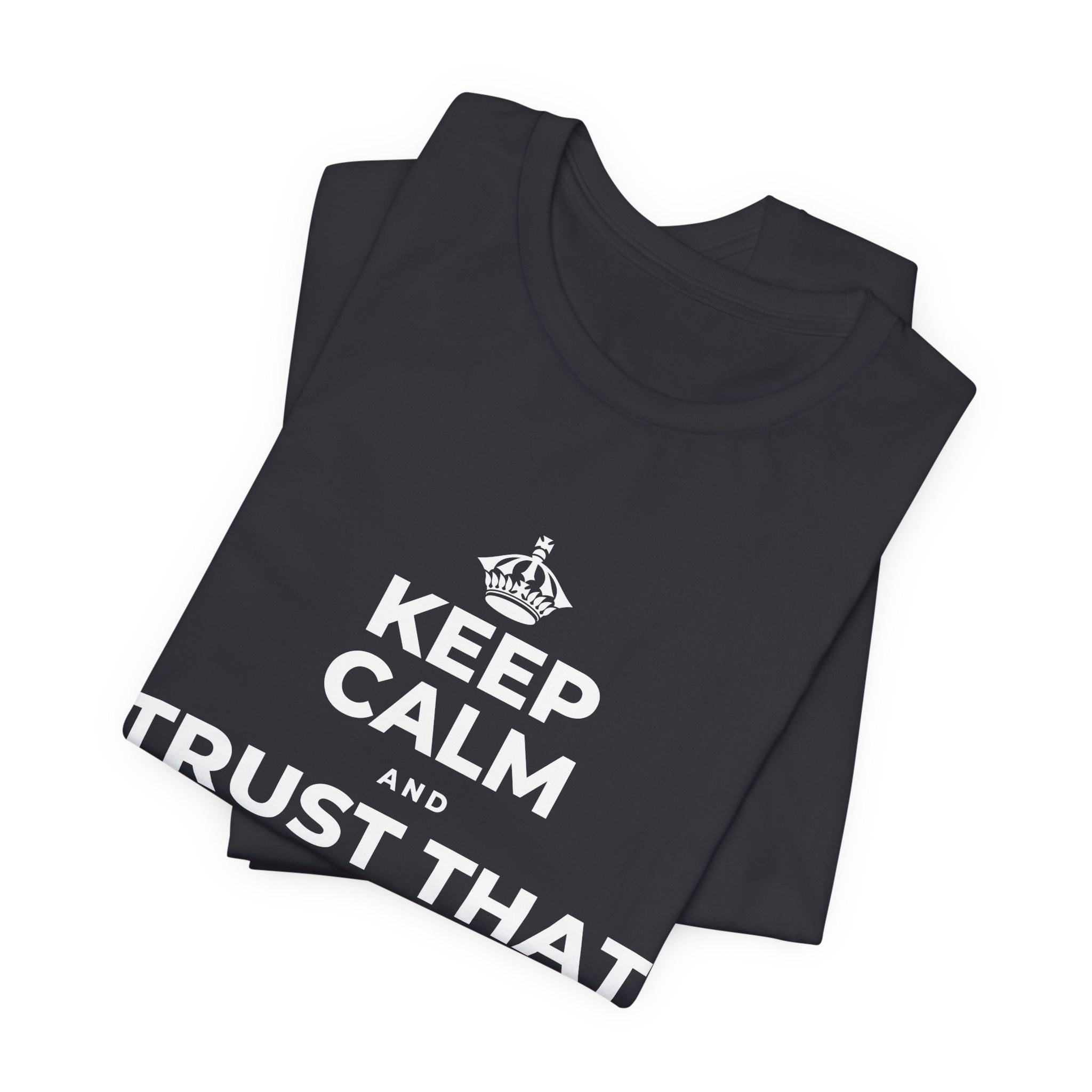 KEEP CALM AND TRUST THAT YOU'RE DOING YOUR BEST T-Shirt (Baby Blue–Silver)