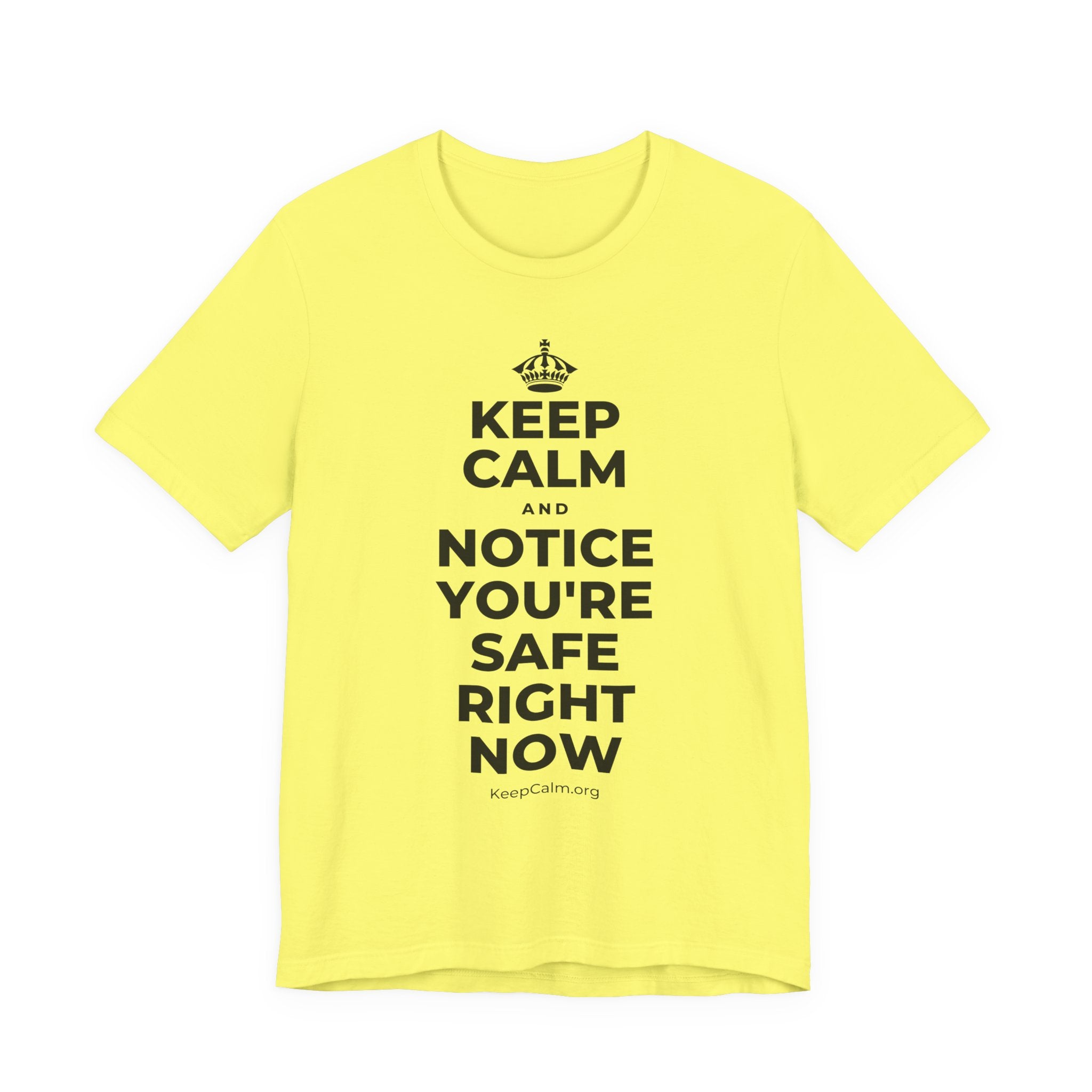 KEEP CALM AND NOTICE YOU'RE SAFE RIGHT NOW T-Shirt (Soft Cream–Heather Mauve)