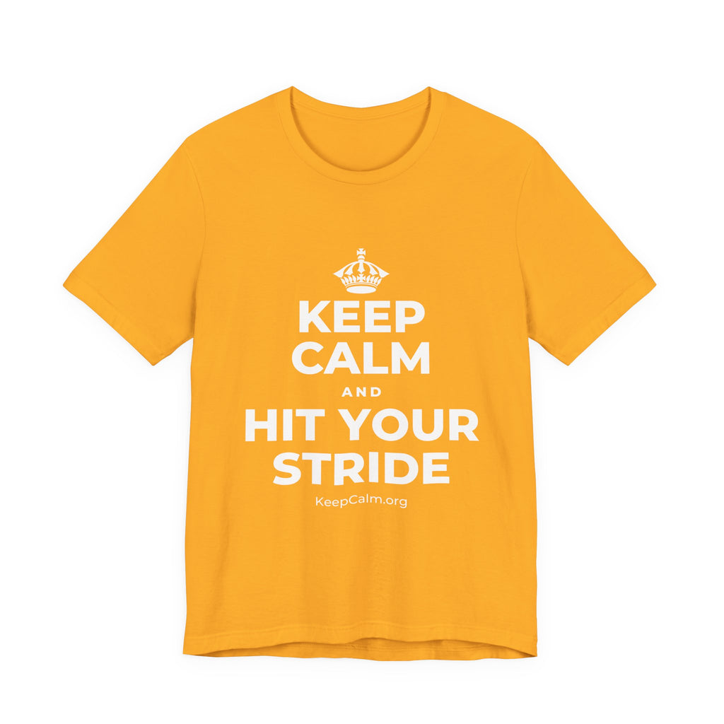 KEEP CALM AND HIT YOUR STRIDE T-Shirt (Baby Blue–Silver)