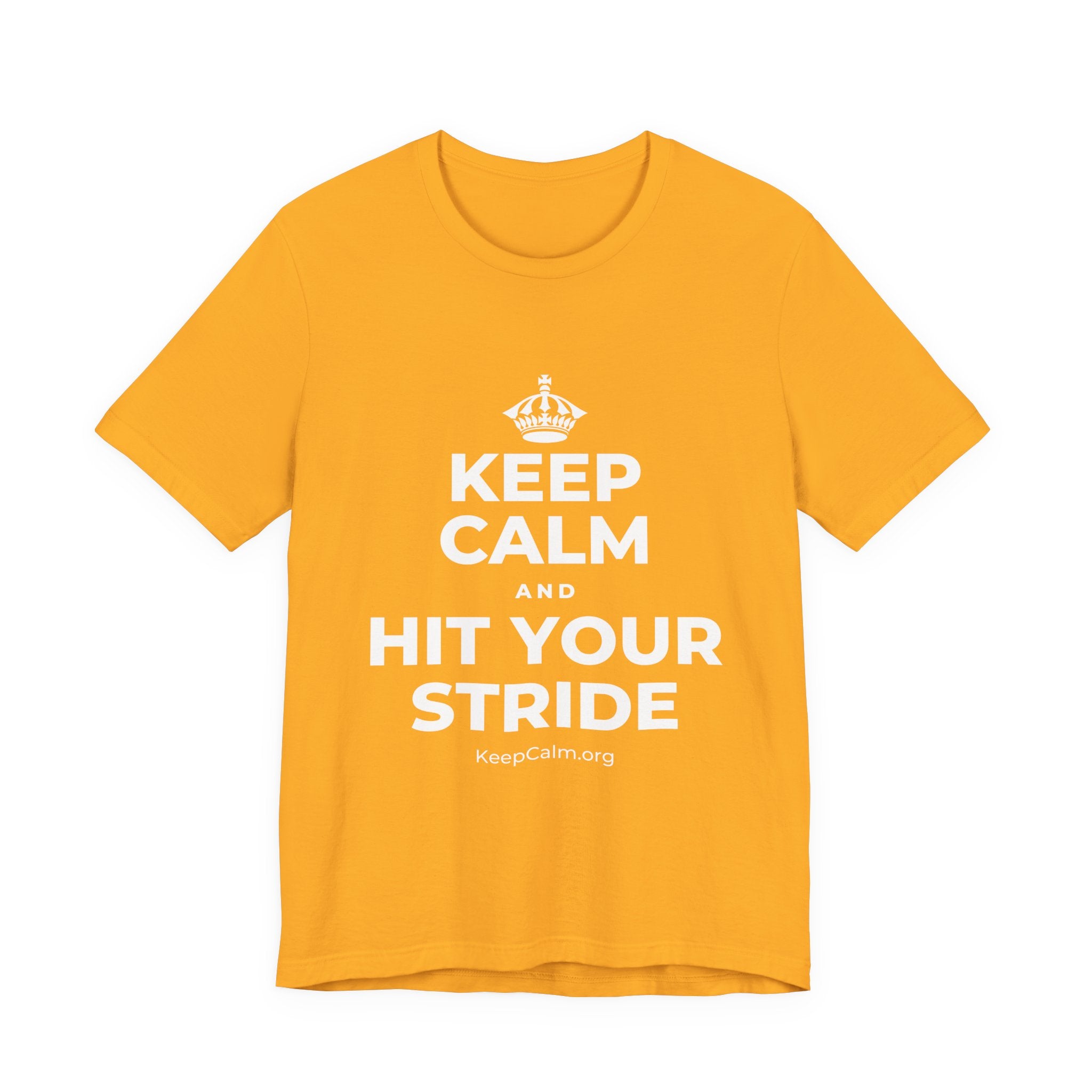 KEEP CALM AND HIT YOUR STRIDE T-Shirt (Baby Blue–Silver)