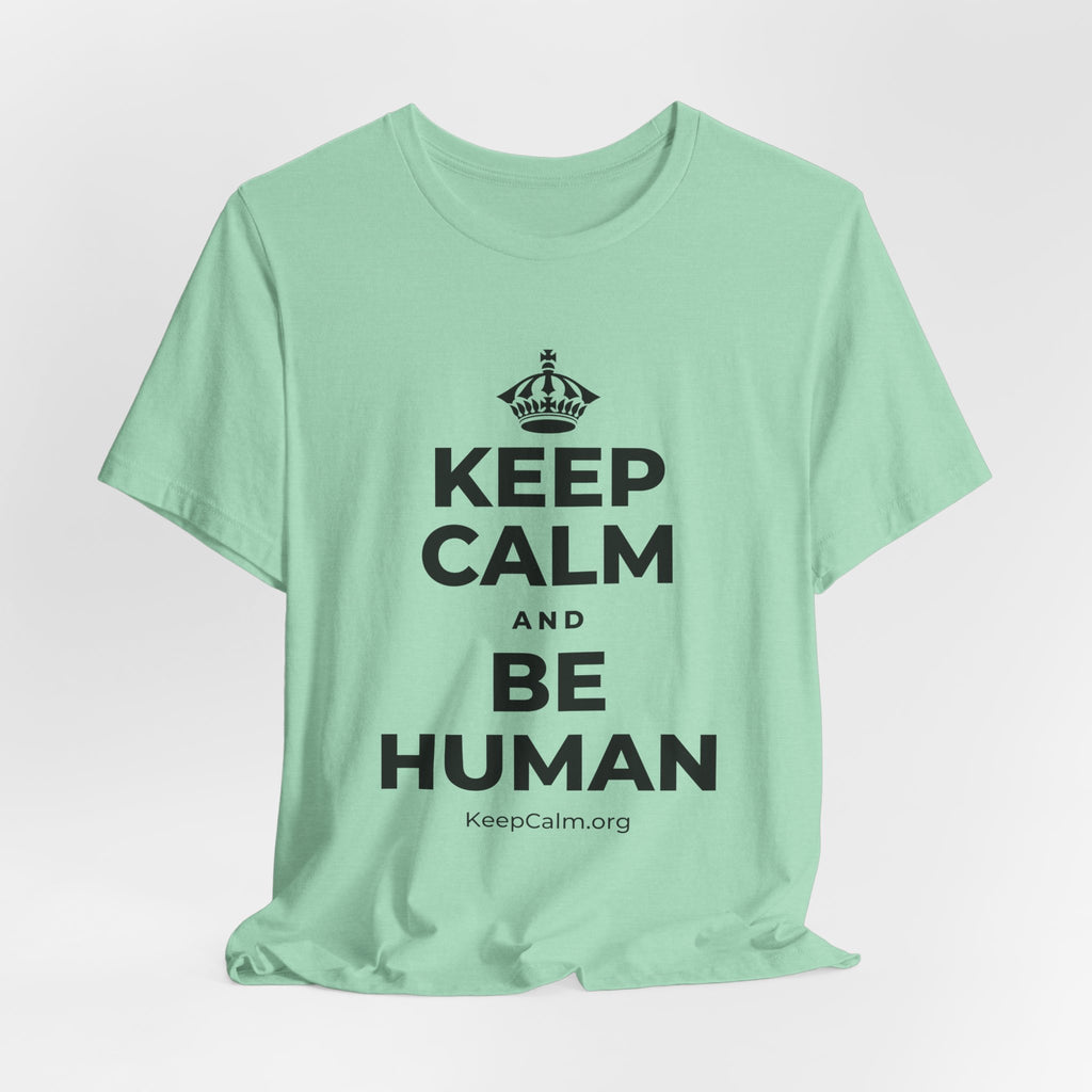 KEEP CALM AND BE HUMAN T-Shirt (Baby Blue–Silver)