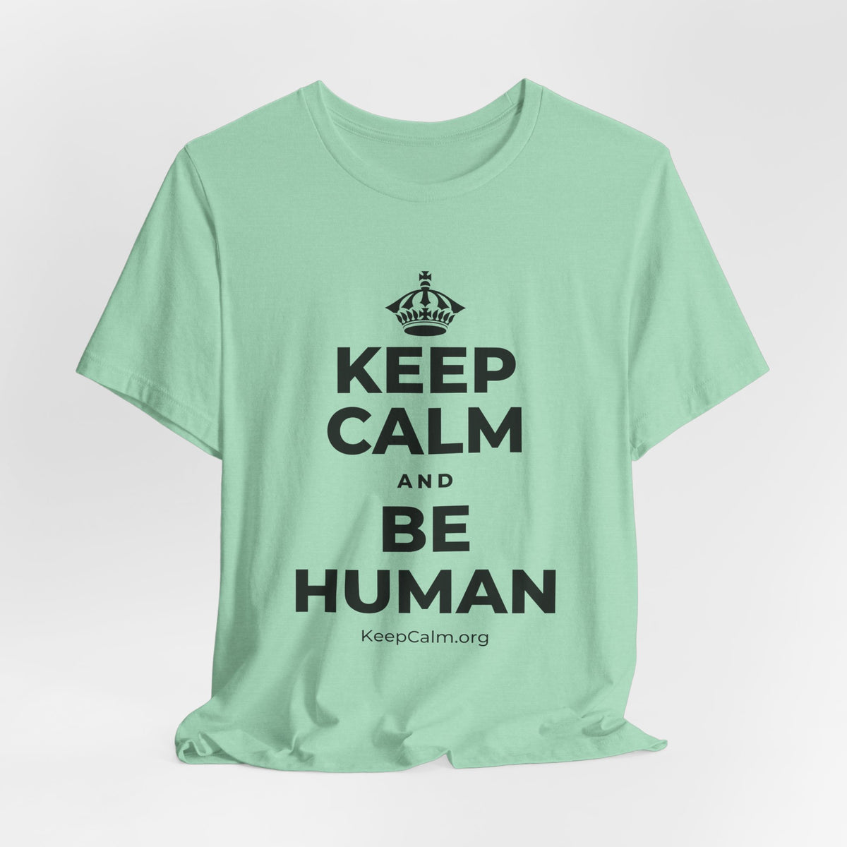 KEEP CALM AND BE HUMAN T-Shirt (Baby Blue–Silver)