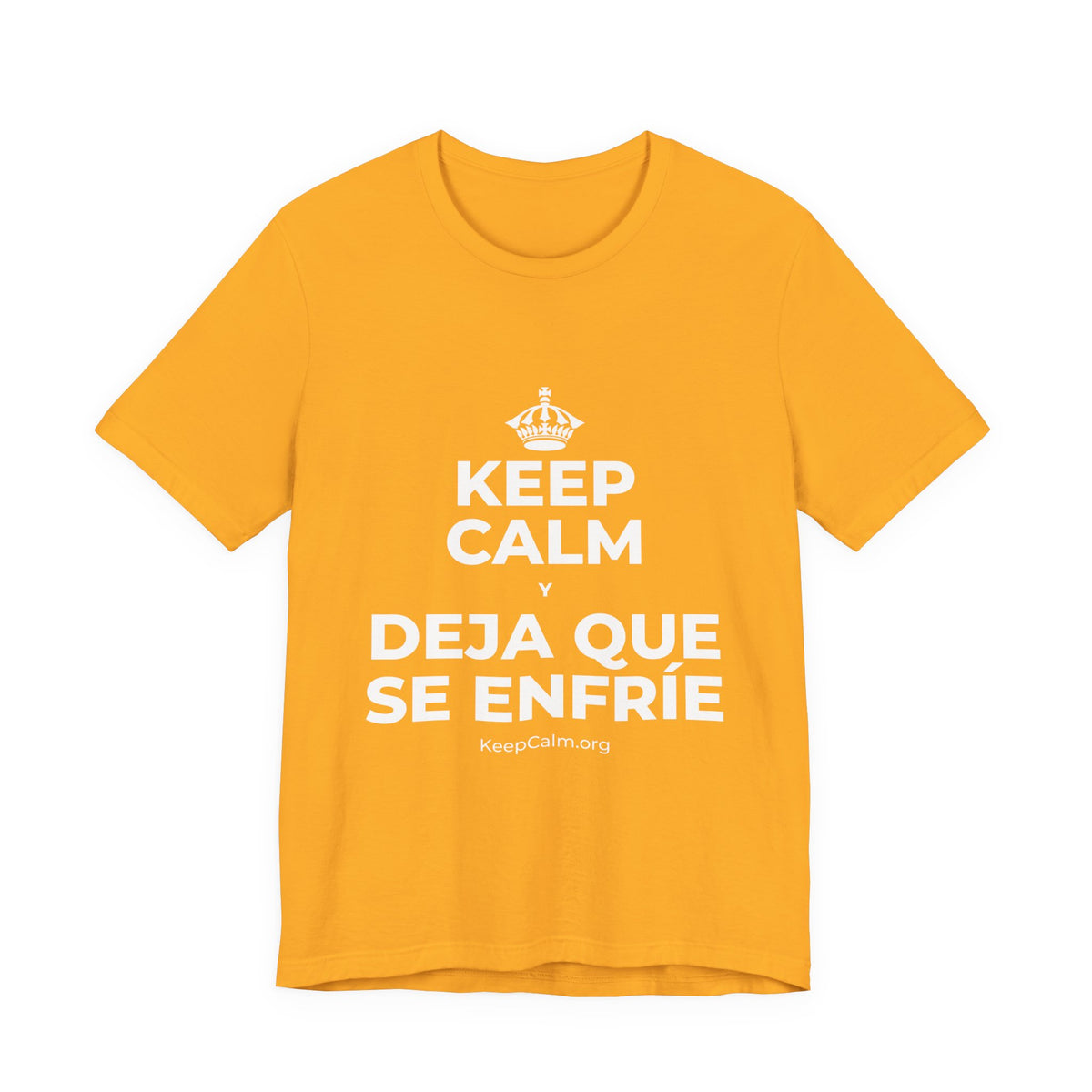 KEEP CALM Y DEJA QUE SE ENFRÍE T-Shirt (Baby Blue–Silver)