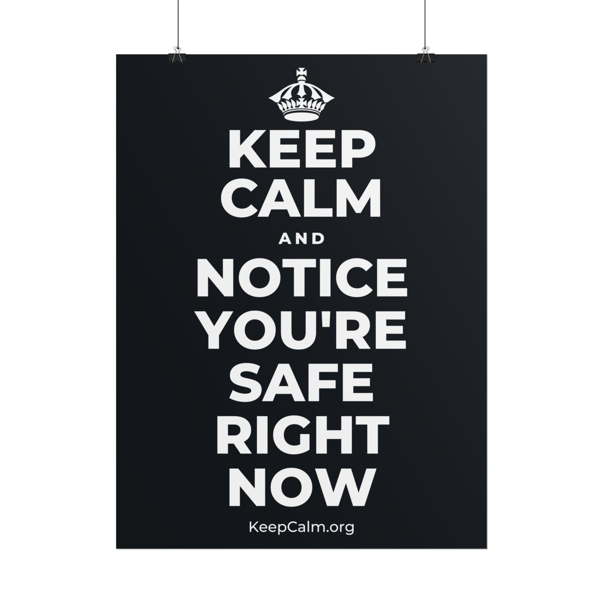 KEEP CALM AND NOTICE YOU'RE SAFE RIGHT NOW Poster (Dark)