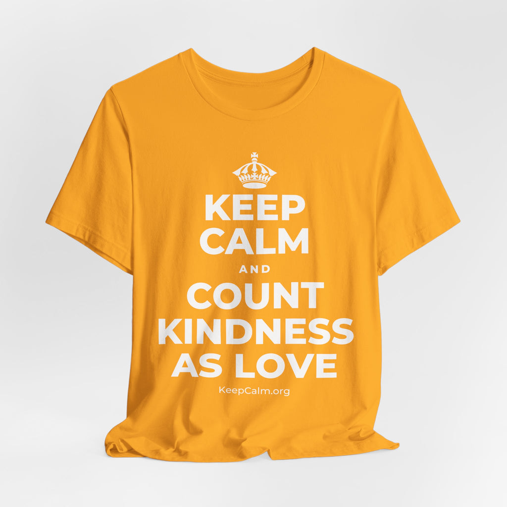 KEEP CALM AND COUNT KINDNESS AS LOVE T-Shirt (Baby Blue–Silver)