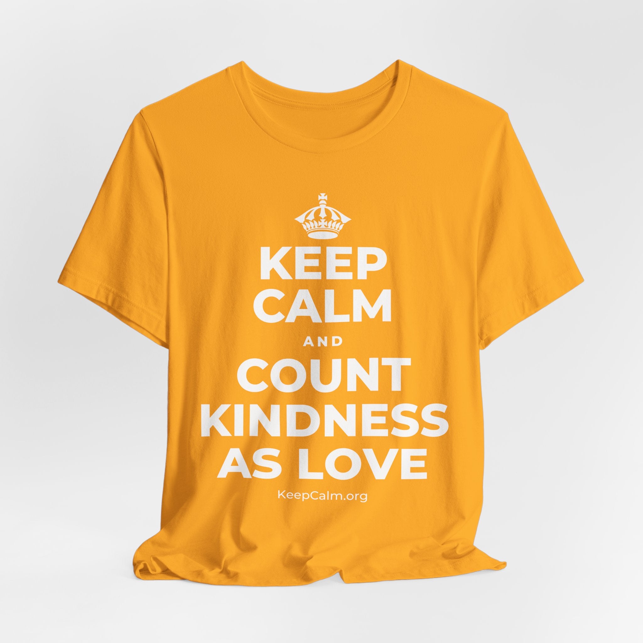 KEEP CALM AND COUNT KINDNESS AS LOVE T-Shirt (Baby Blue–Silver)