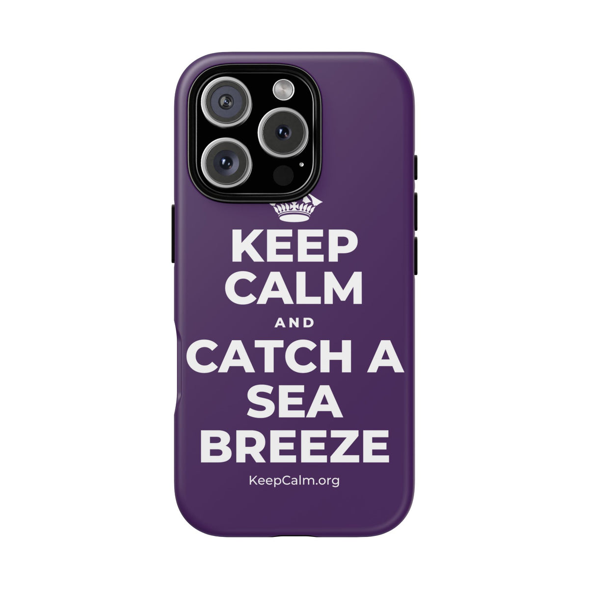 KEEP CALM AND CATCH A SEA BREEZE Phone Case