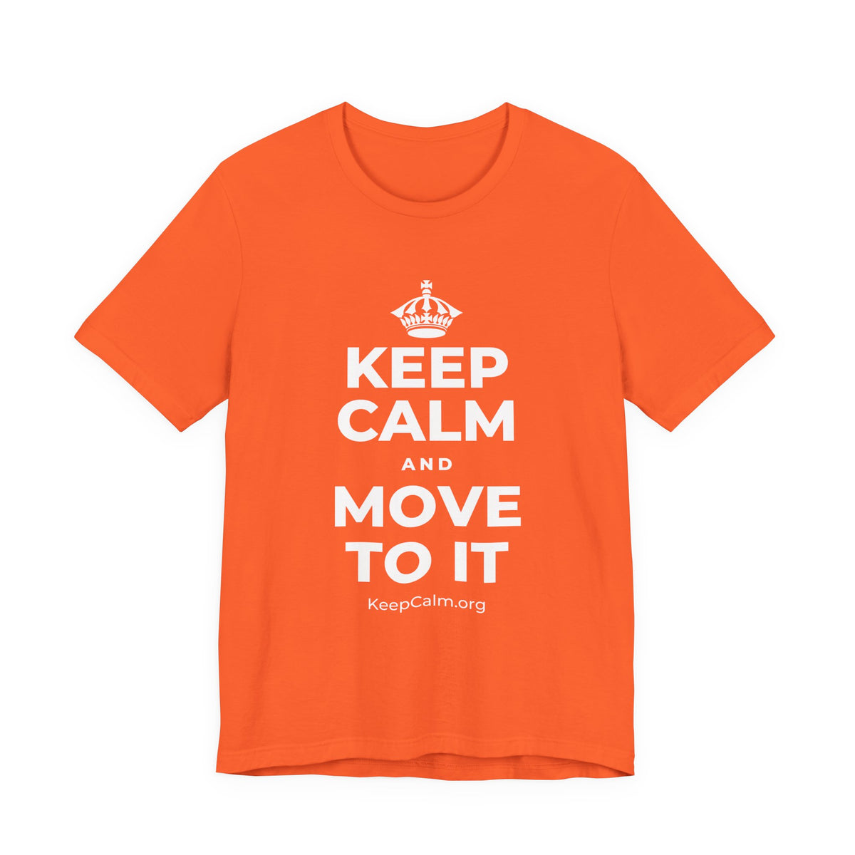 KEEP CALM AND MOVE TO IT T-Shirt (Baby Blue–Silver)