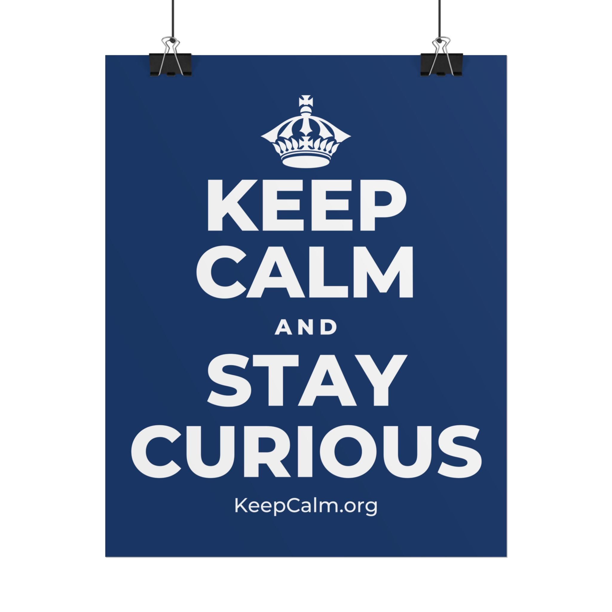 KEEP CALM AND STAY CURIOUS Poster